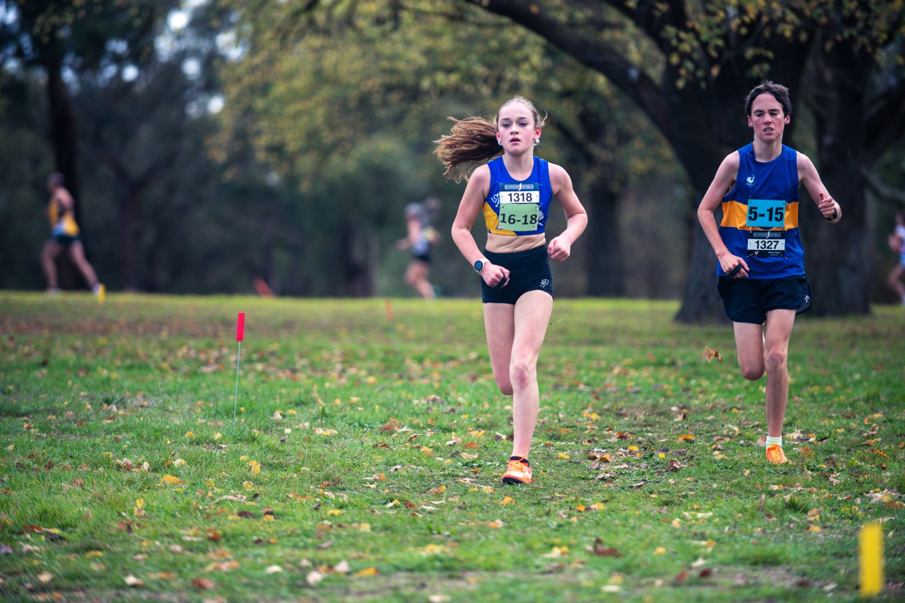 Jells-Park-Relays-2025-2520
