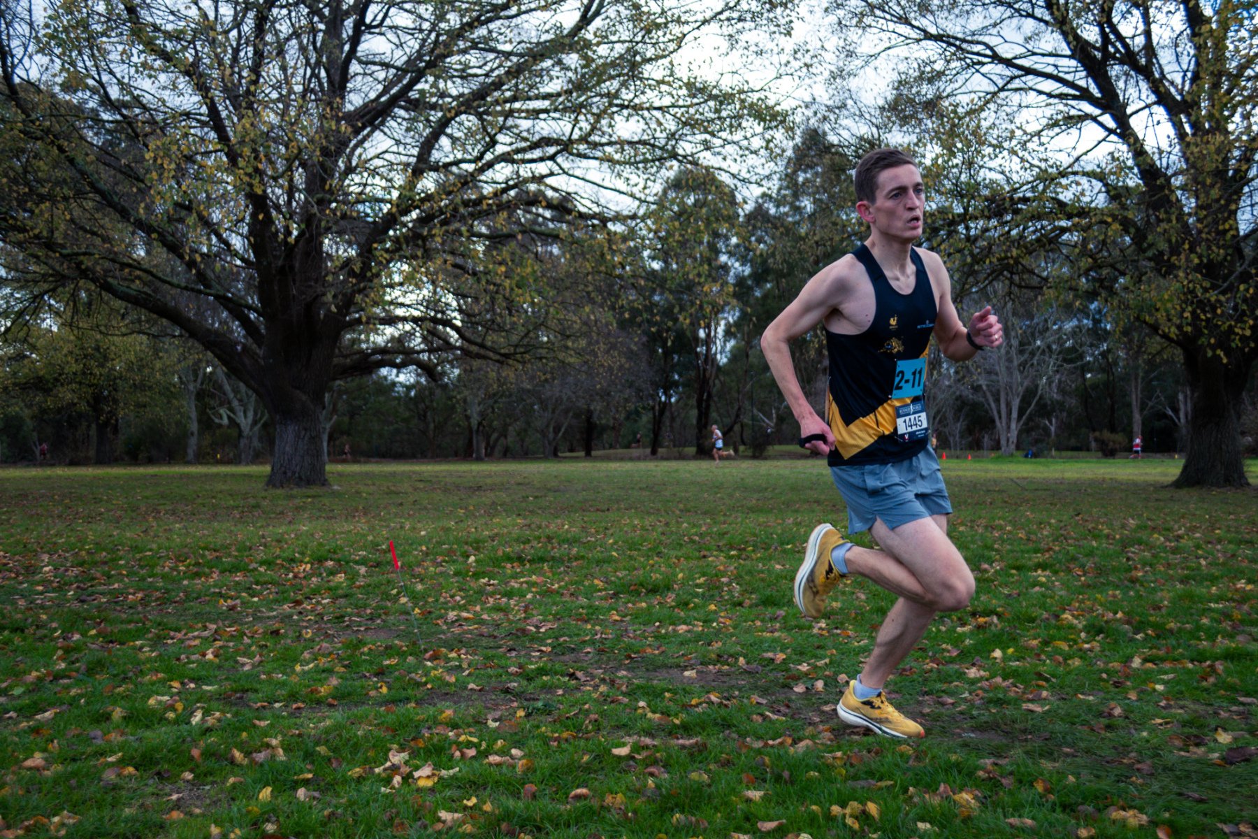 Jells-Park-Relays-2025-2877