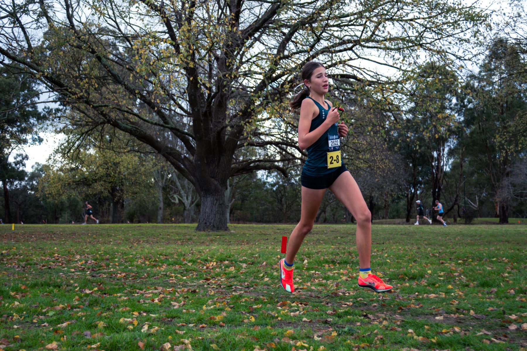 Jells-Park-Relays-2025-2907