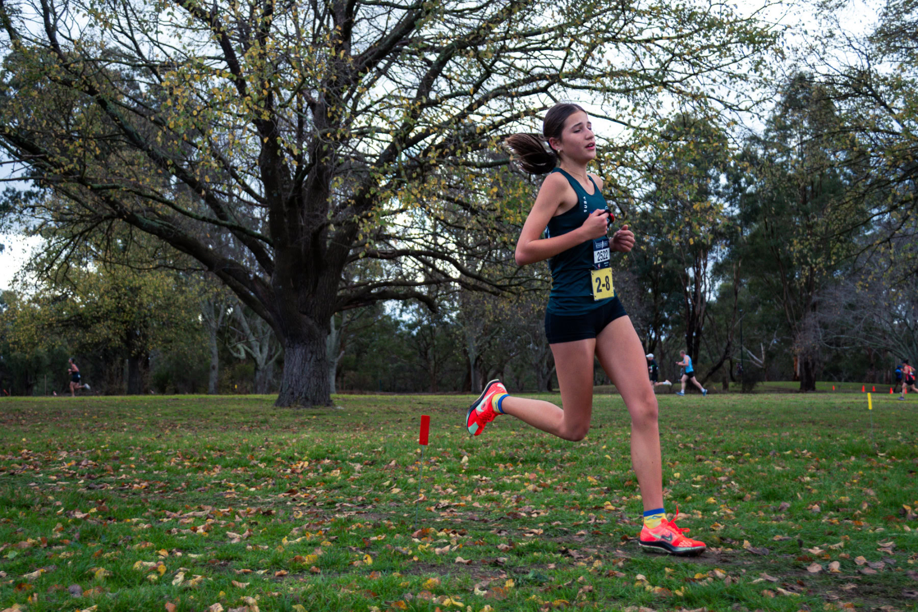 Jells-Park-Relays-2025-2908