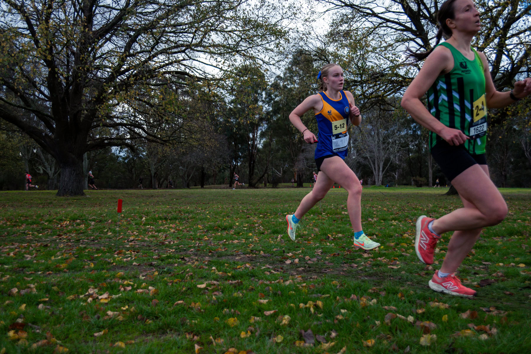 Jells-Park-Relays-2025-2930