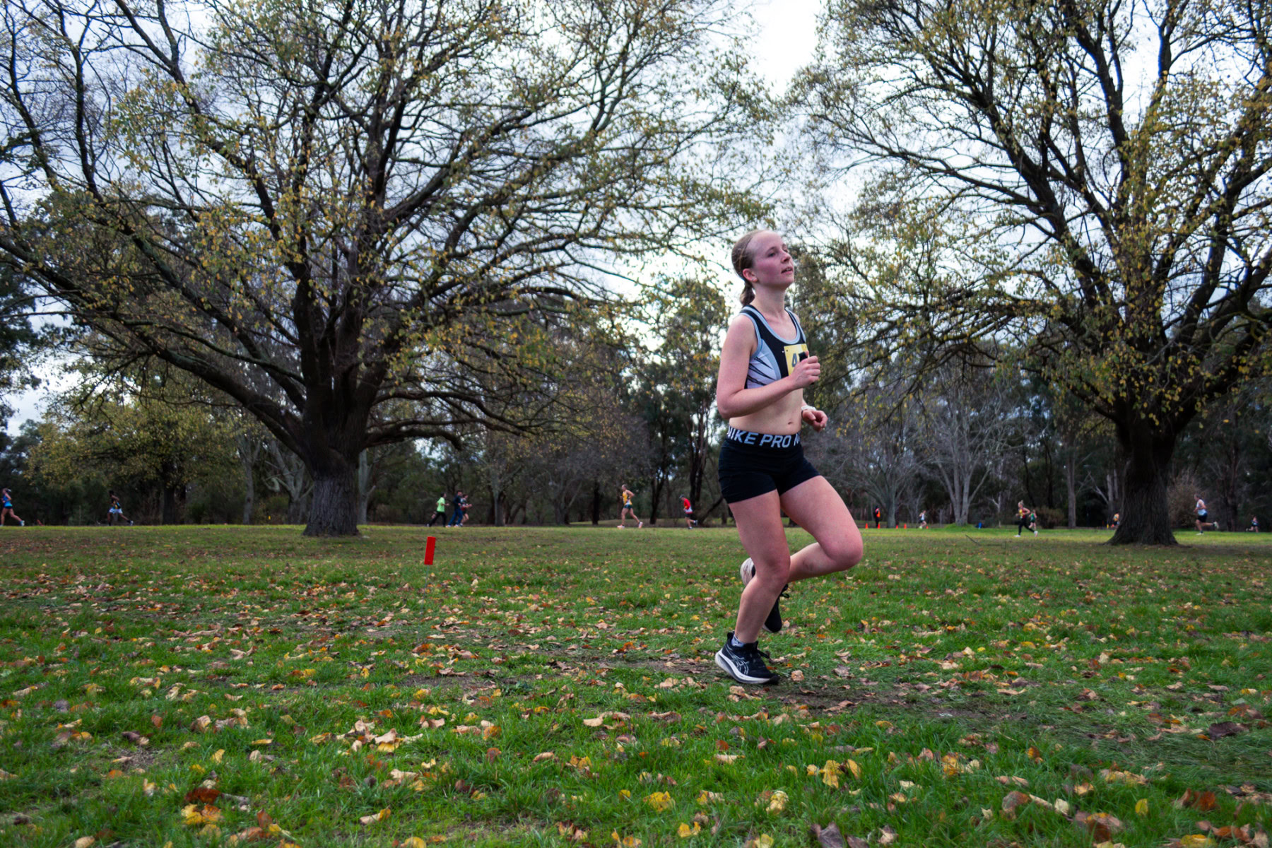 Jells-Park-Relays-2025-3091