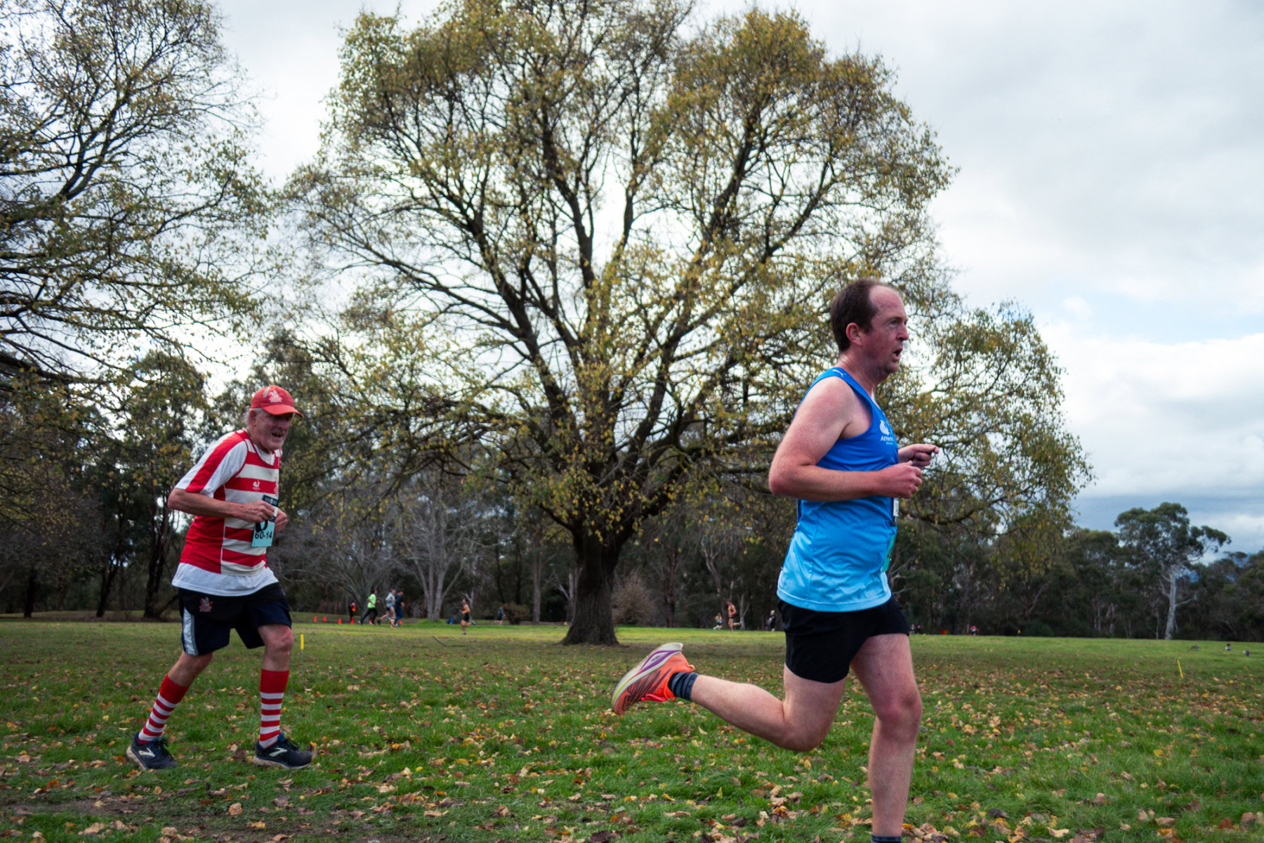 Jells-Park-Relays-2025-3110