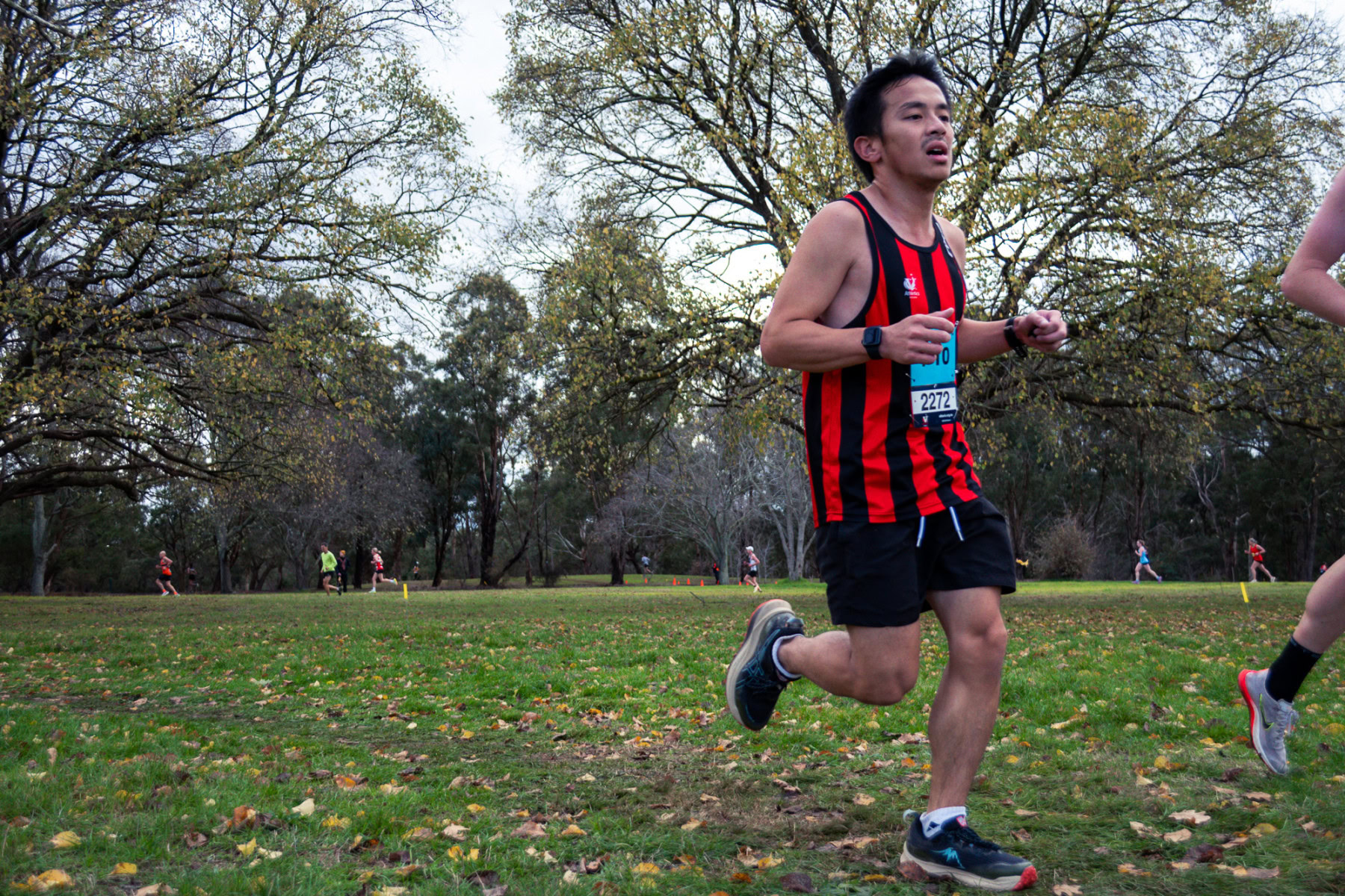 Jells-Park-Relays-2025-3197