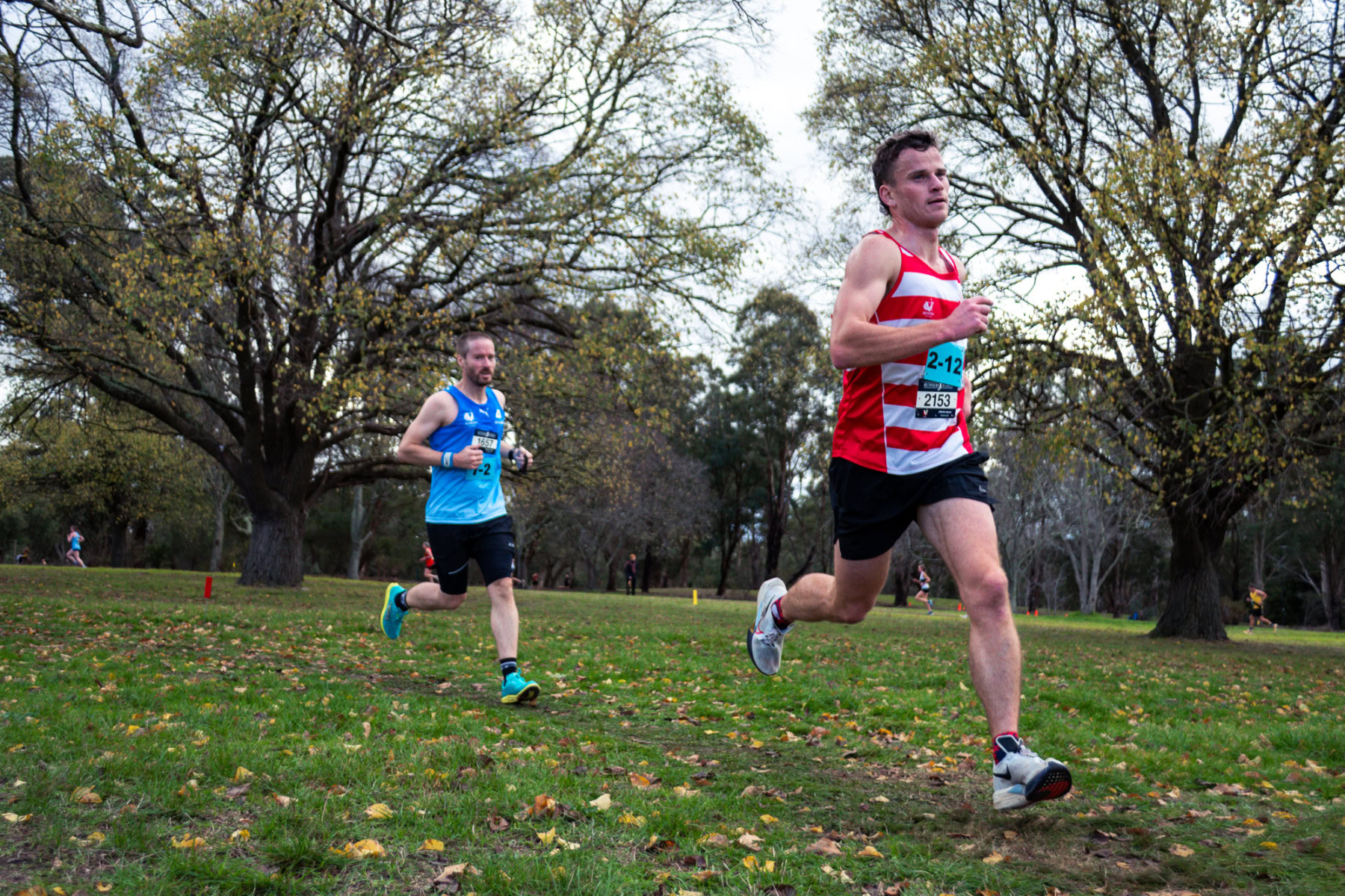 Jells-Park-Relays-2025-3211
