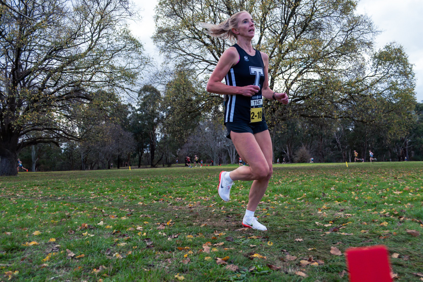 Jells-Park-Relays-2025-3317