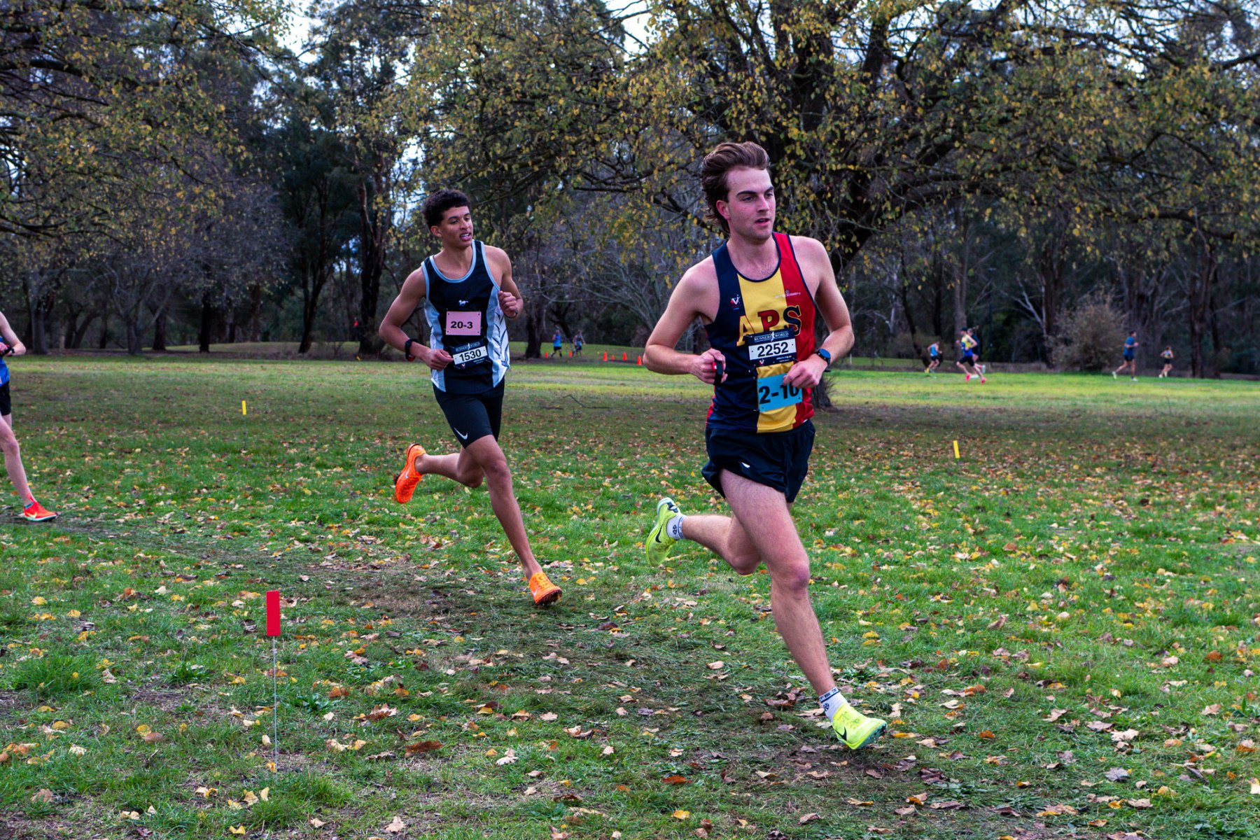 Jells-Park-Relays-2025-3487