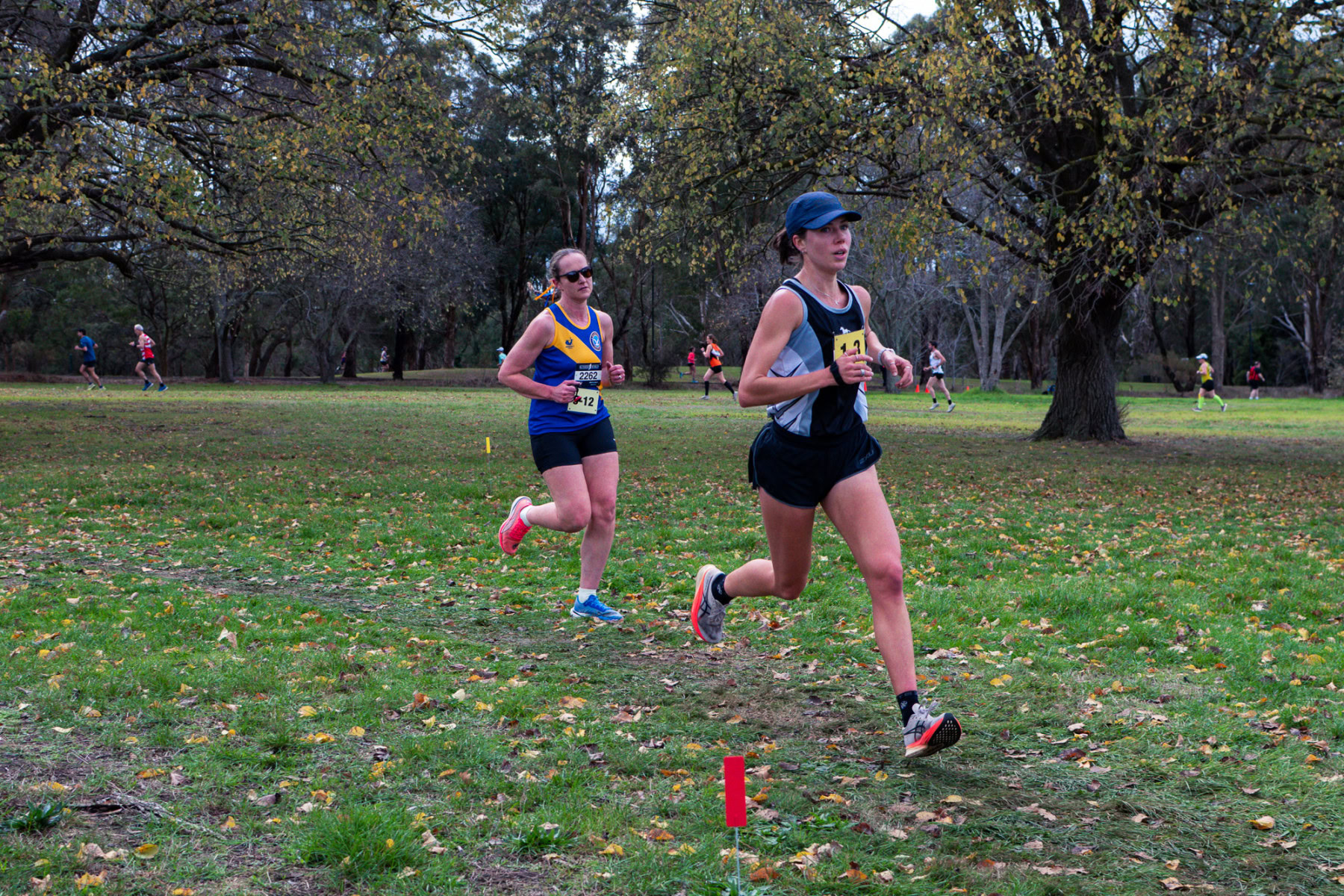 Jells-Park-Relays-2025-3538