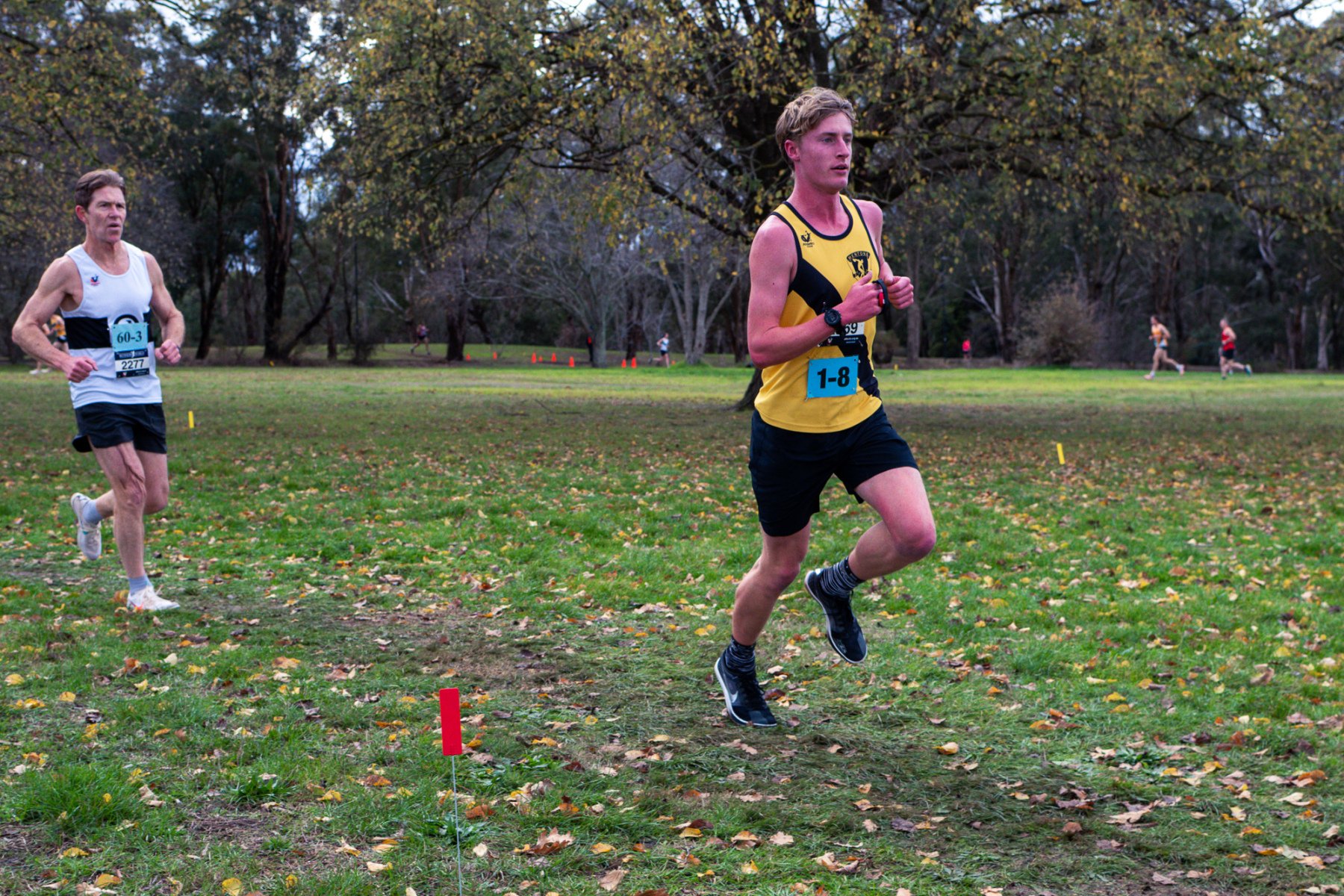 Jells-Park-Relays-2025-3551