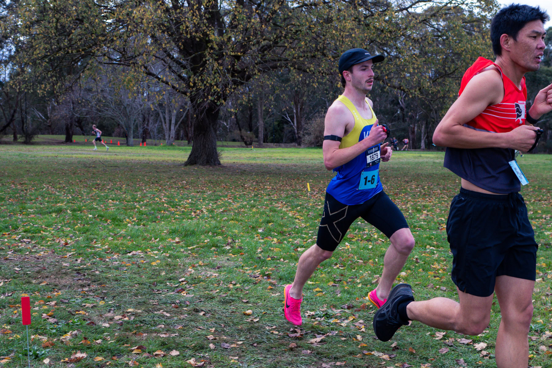 Jells-Park-Relays-2025-3561