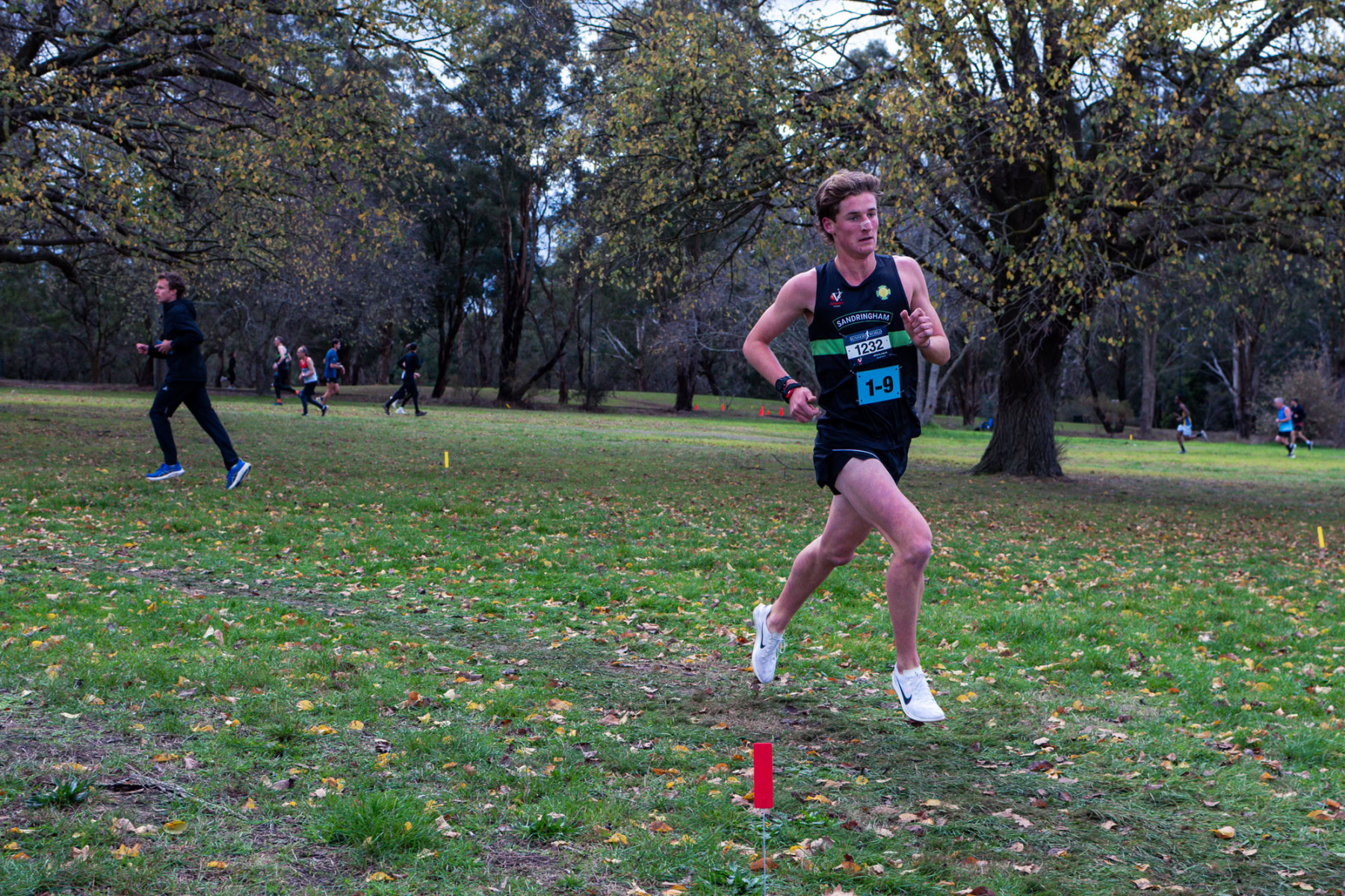 Jells-Park-Relays-2025-3581