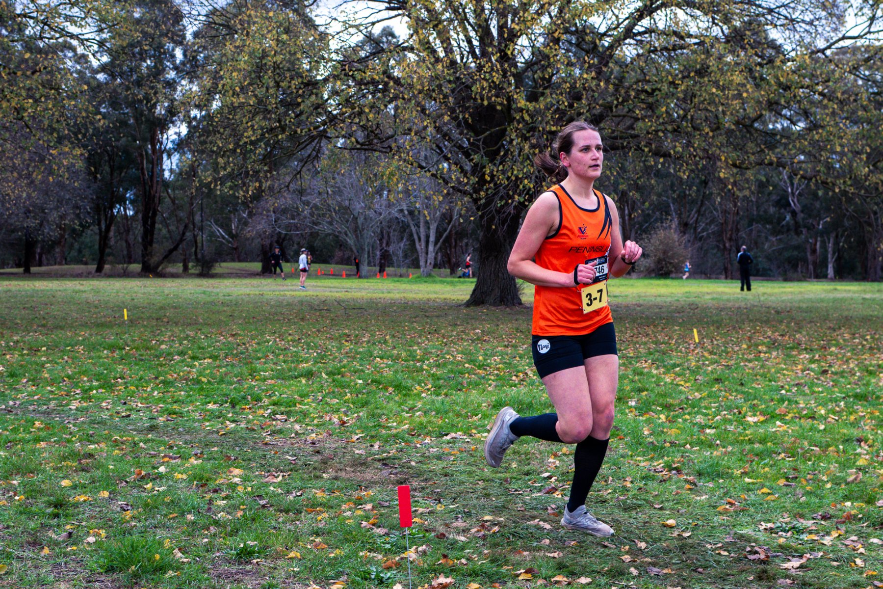 Jells-Park-Relays-2025-3620
