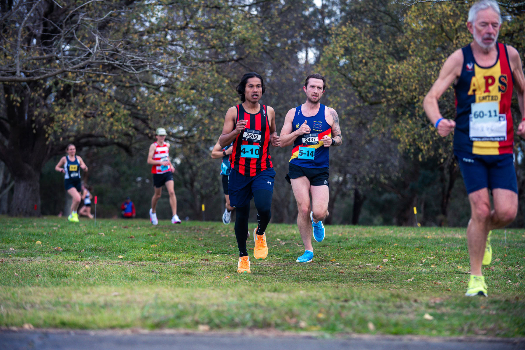 Jells-Park-Relays-2025-3716