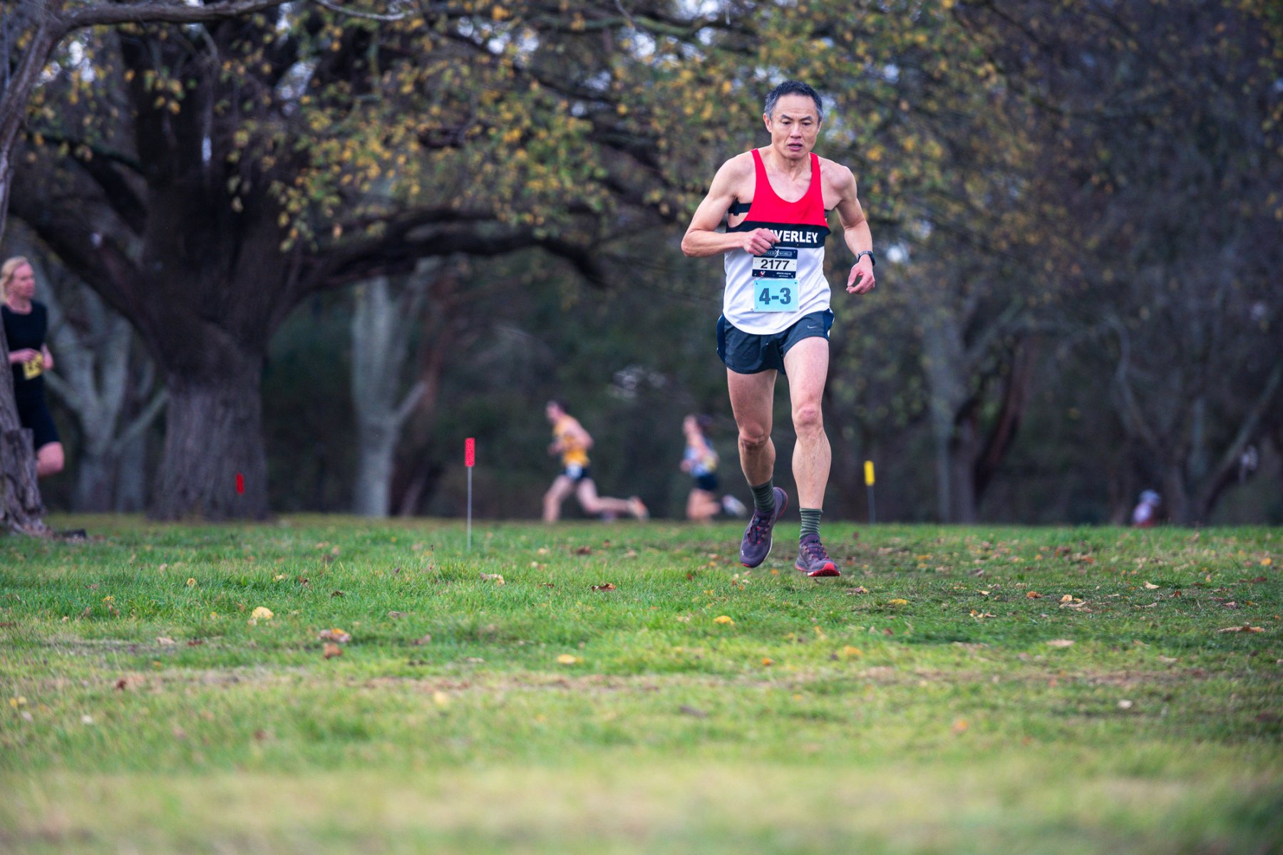 Jells-Park-Relays-2025-4014