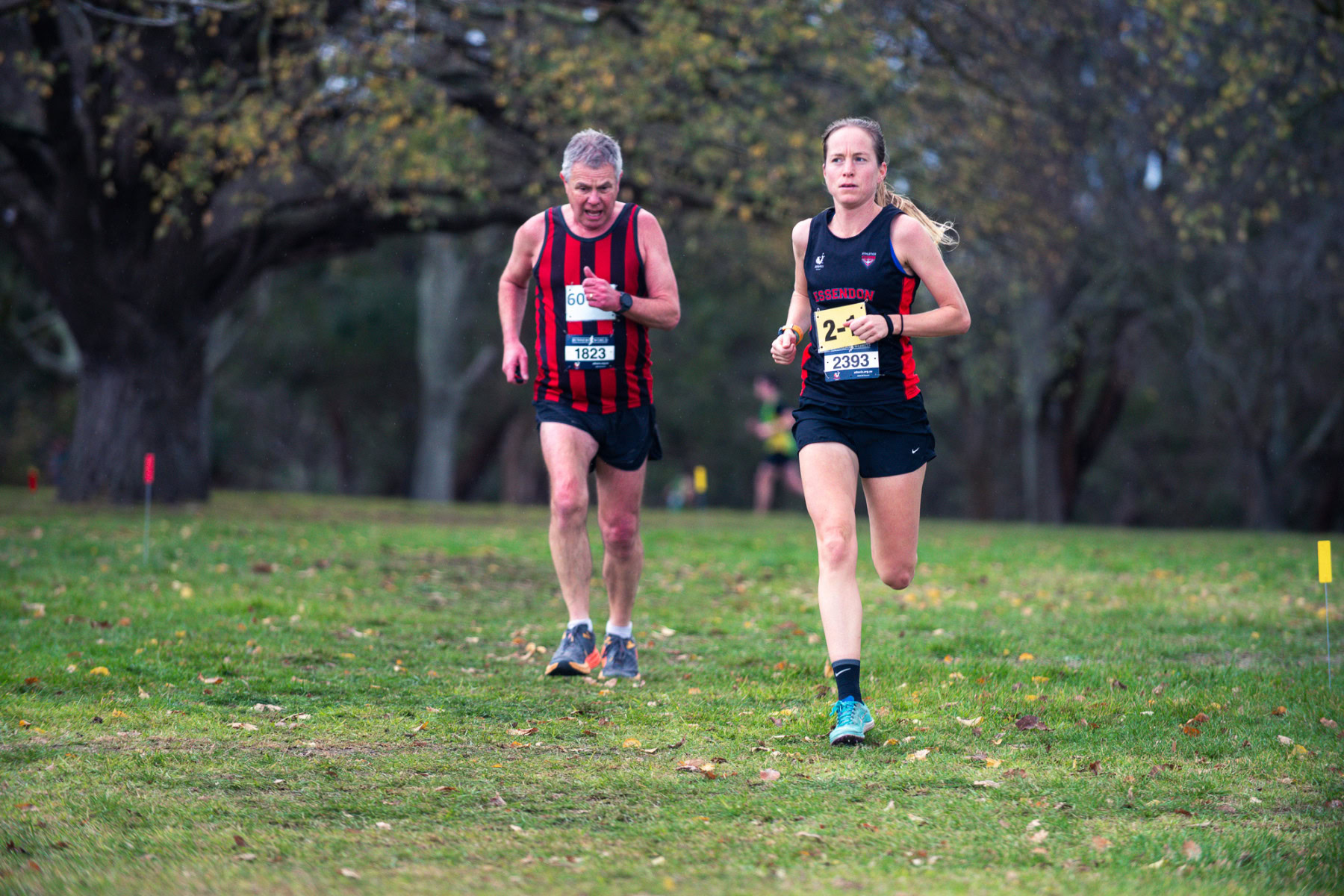 Jells-Park-Relays-2025-4191