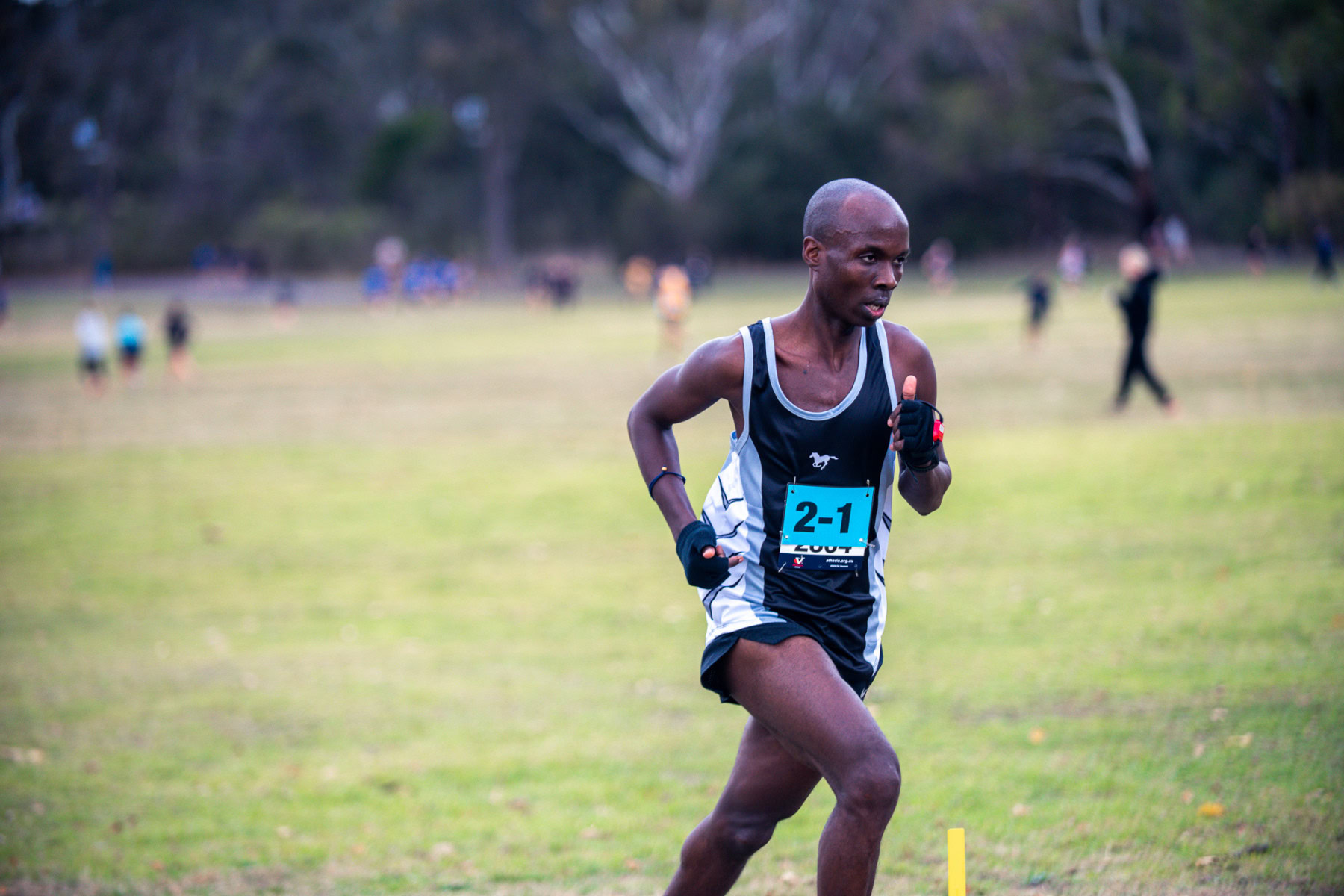 Jells-Park-Relays-2025-4308