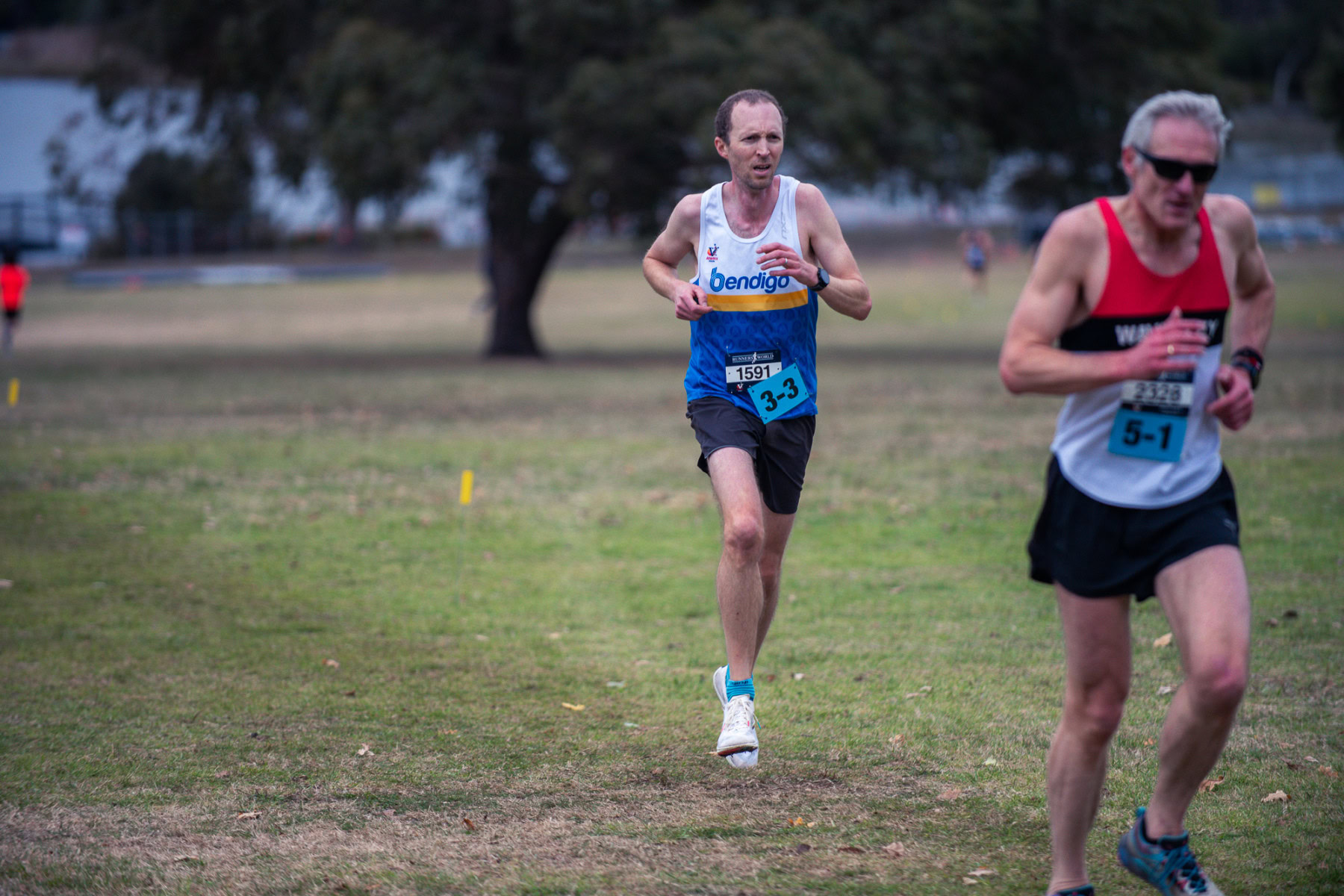 Jells-Park-Relays-2025-5753