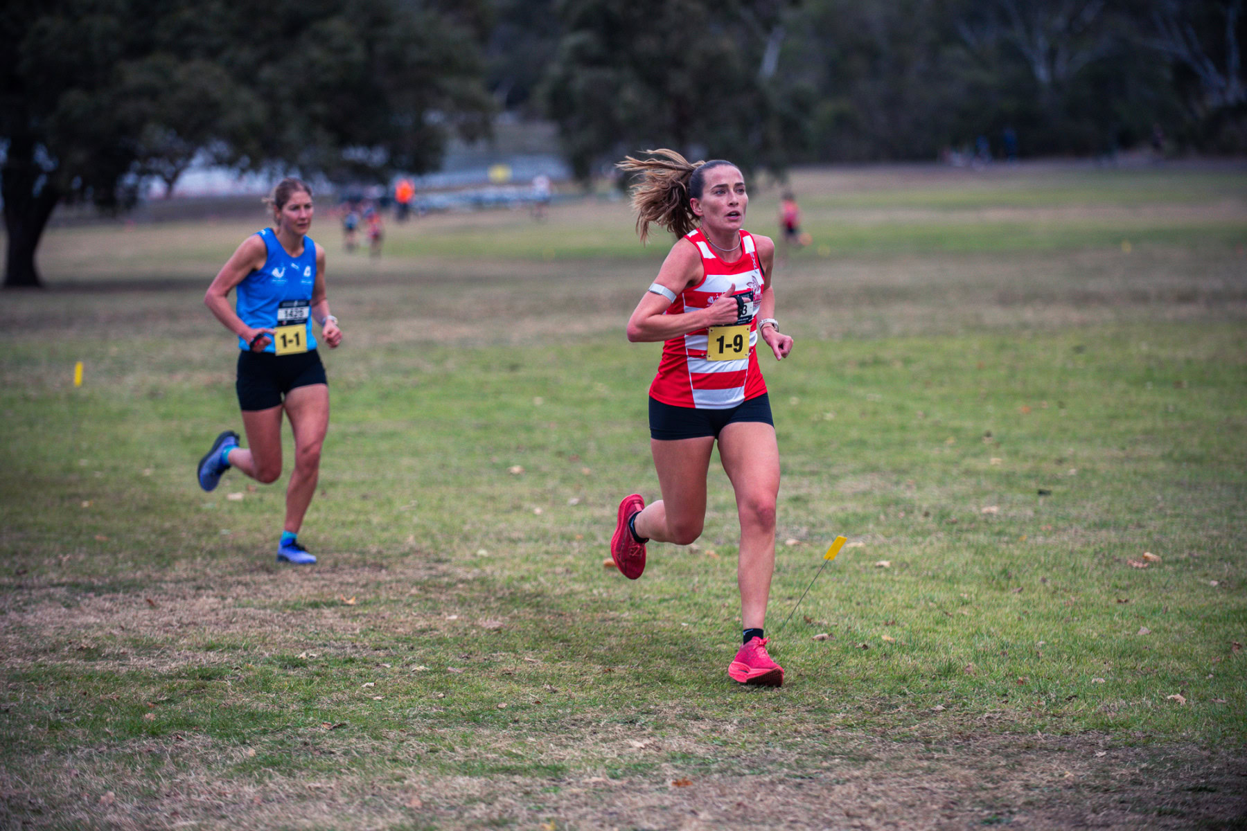 Jells-Park-Relays-2025-6167