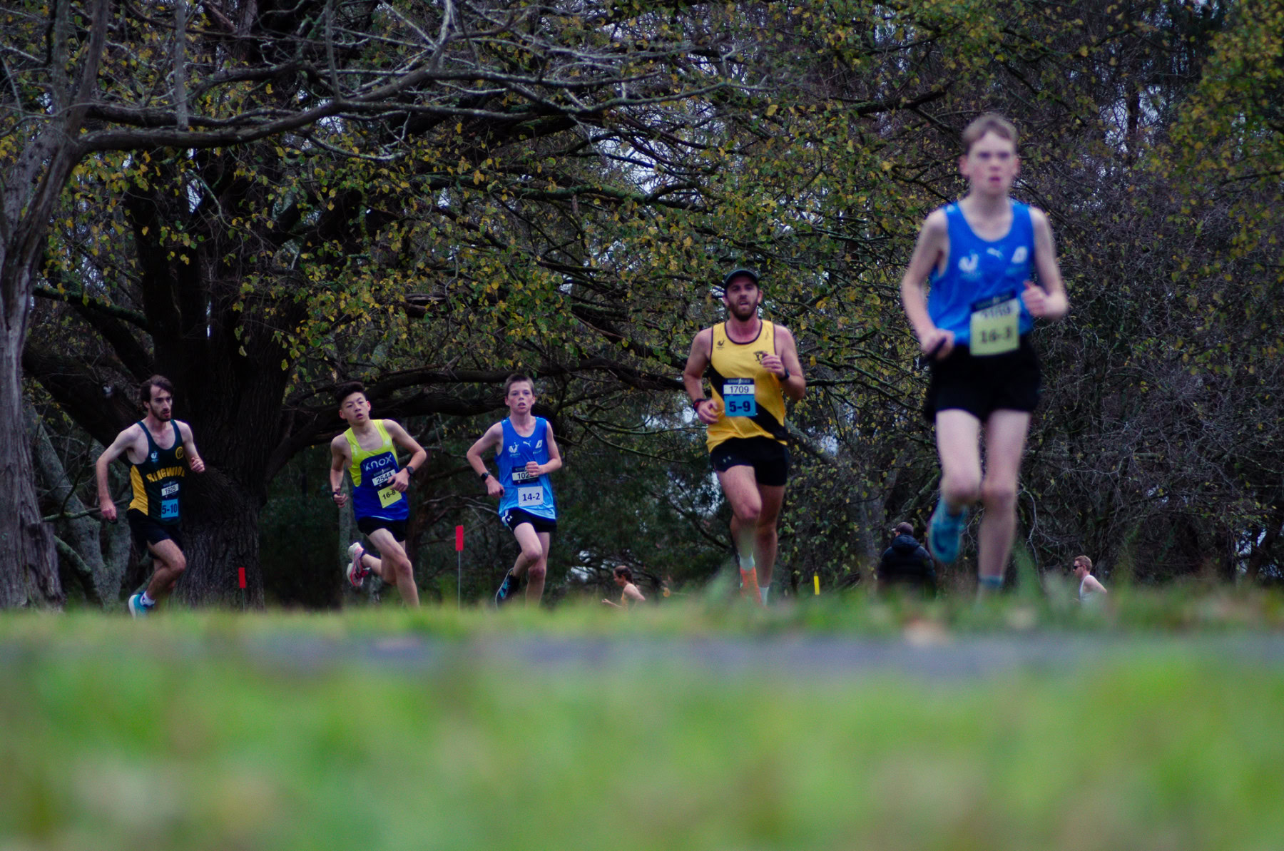 Jells-Park-Relays-2025-Second-Camera-5301