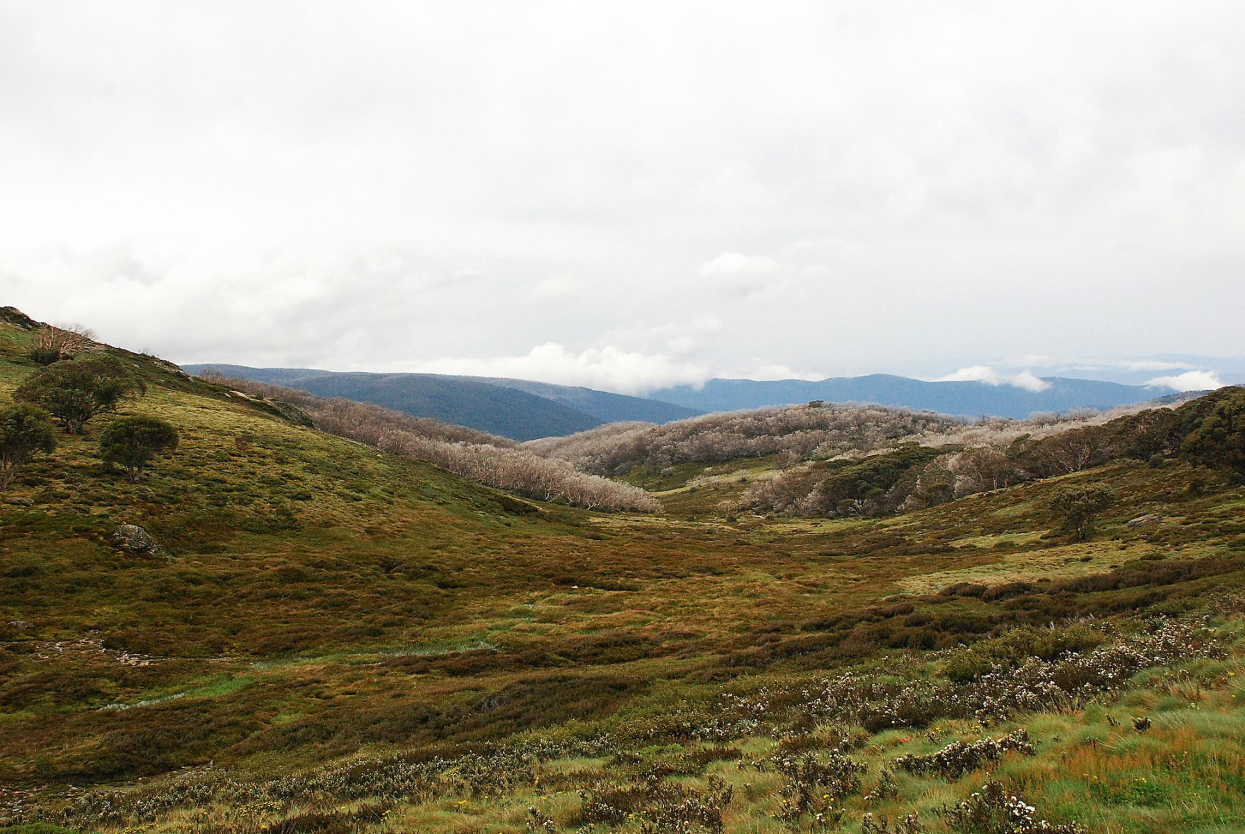 DSC_0002_3872x2592_6198568