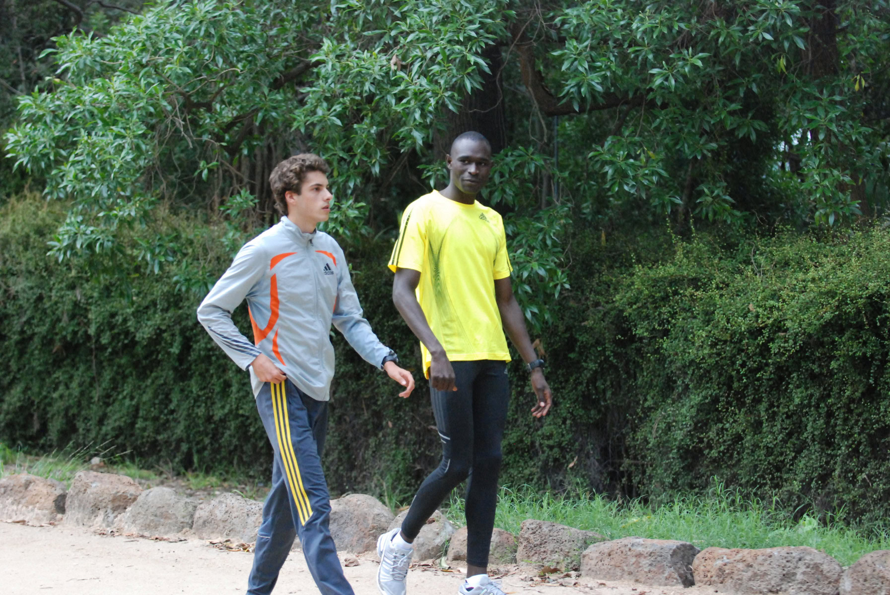 DSC_0206_3872x2592_4695932