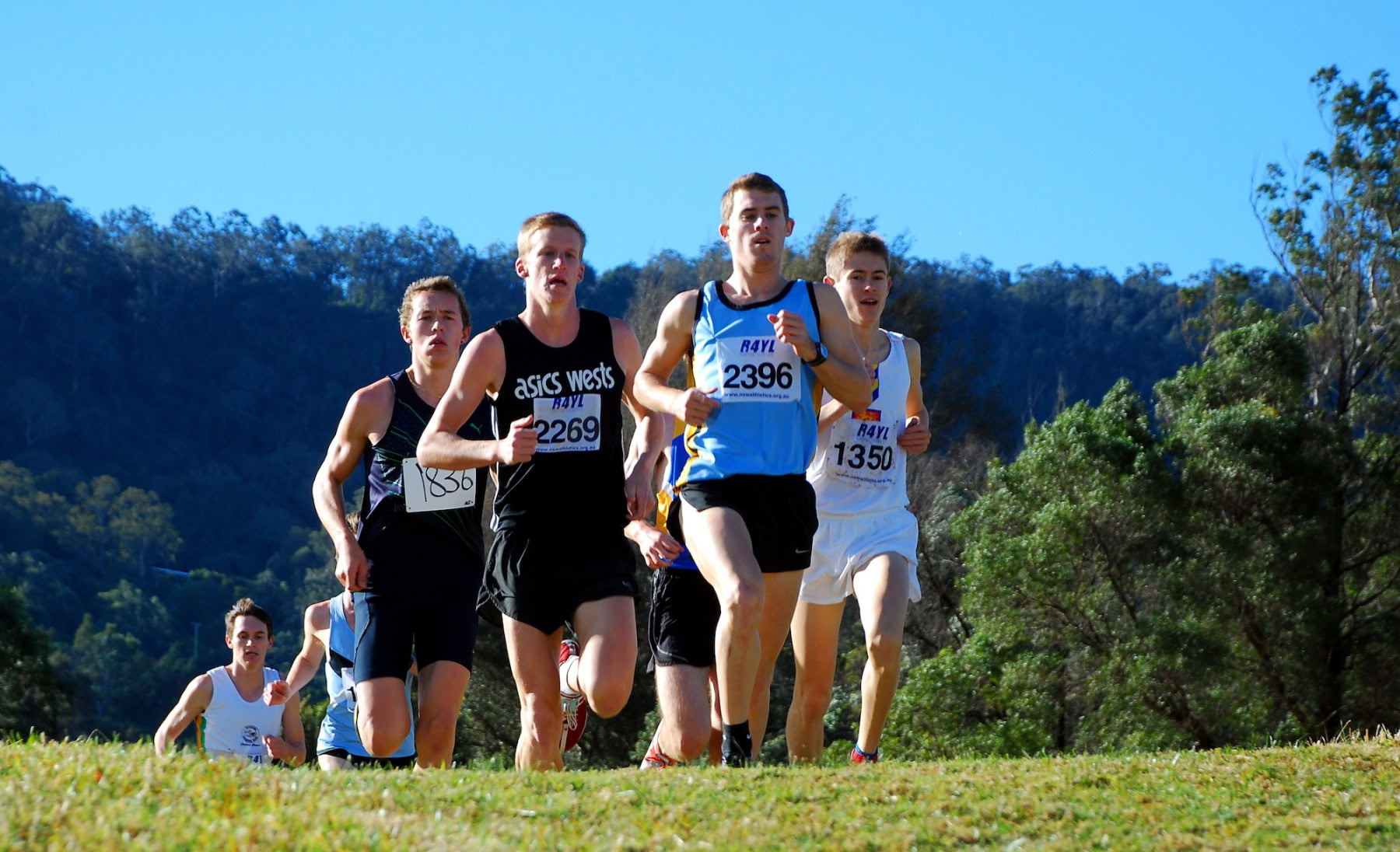 NSW-Cross-Country-Championships-2010_0062_3316x2020_6199498
