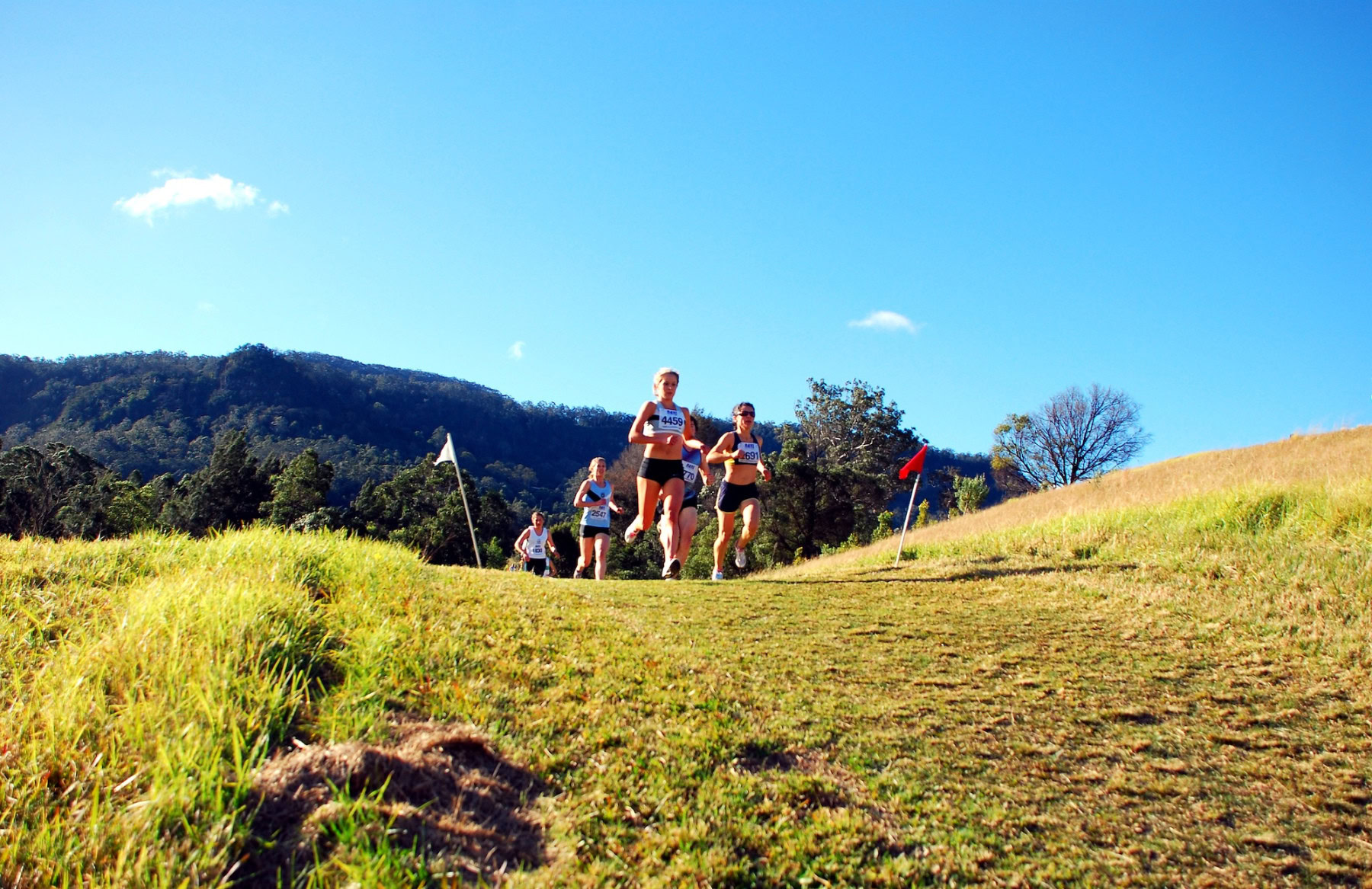 NSW-Cross-Country-Championships-2010_0081_3564x2311_6199453