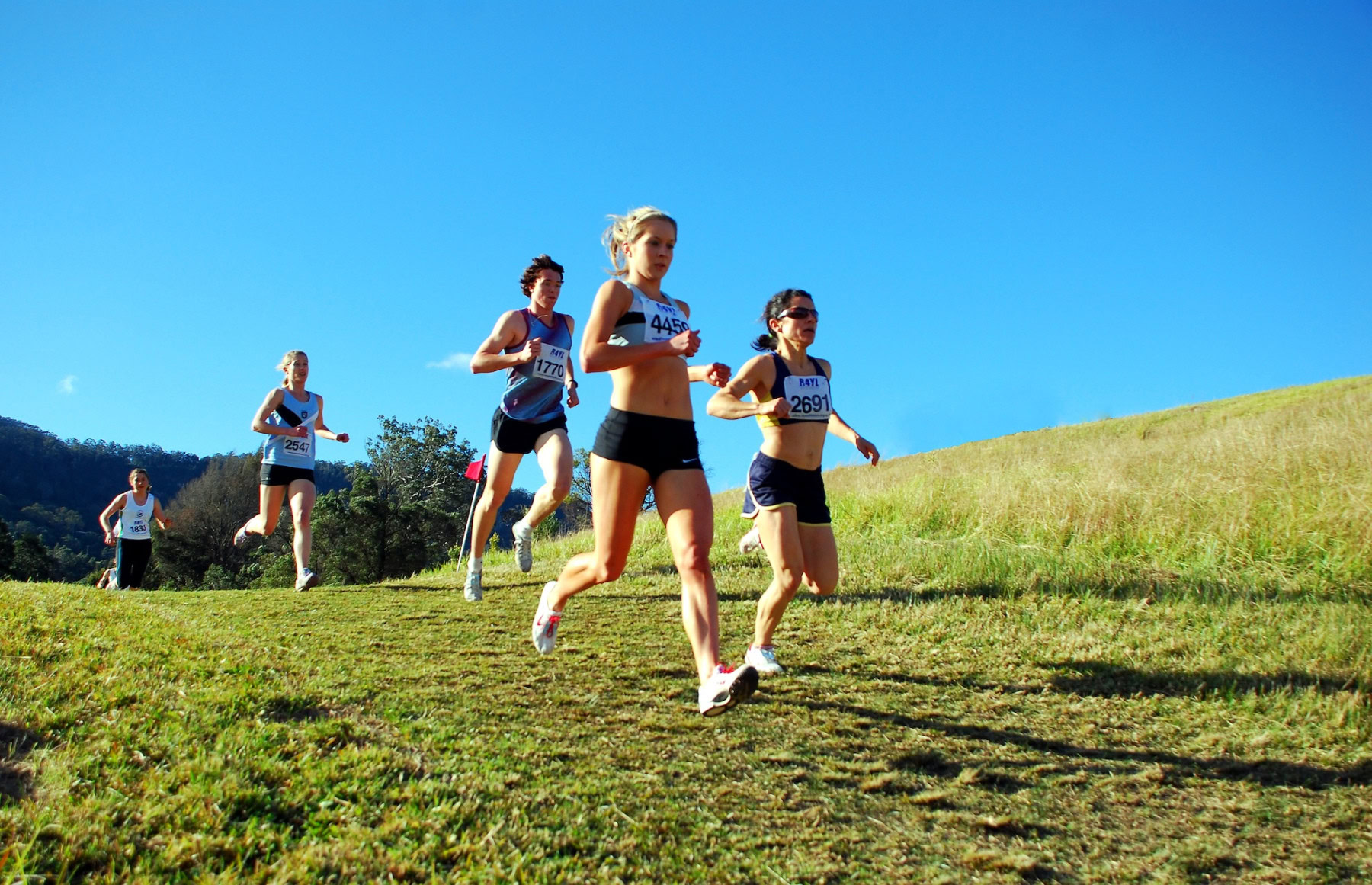 NSW-Cross-Country-Championships-2010_0084_3773x2433_6199492