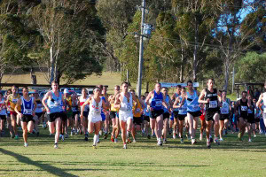 NSW Cross Country Championships 2010