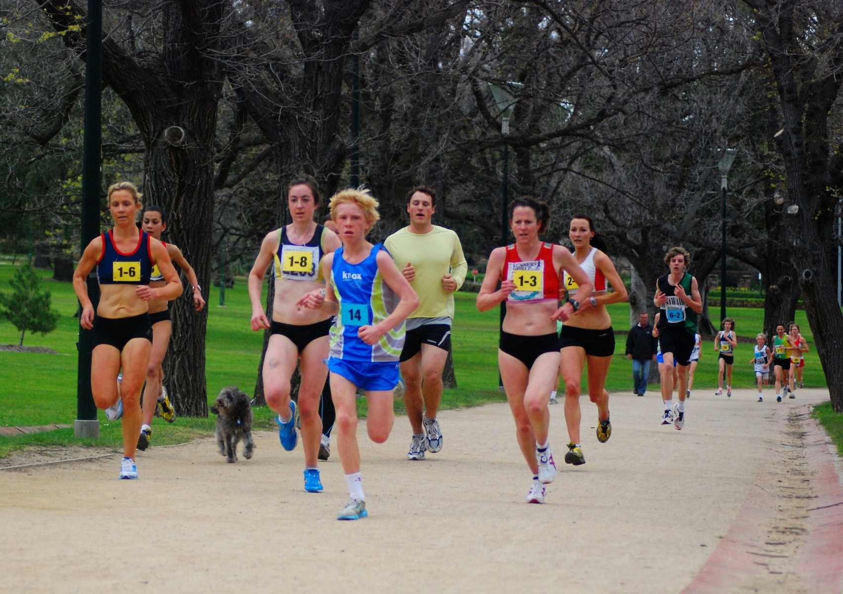 Tan-Relays-2010_0114_3255x2295_6200366