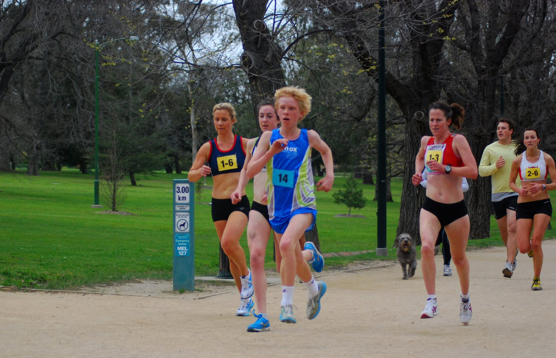 Tan-Relays-2010_0118_3756x2417_6200365