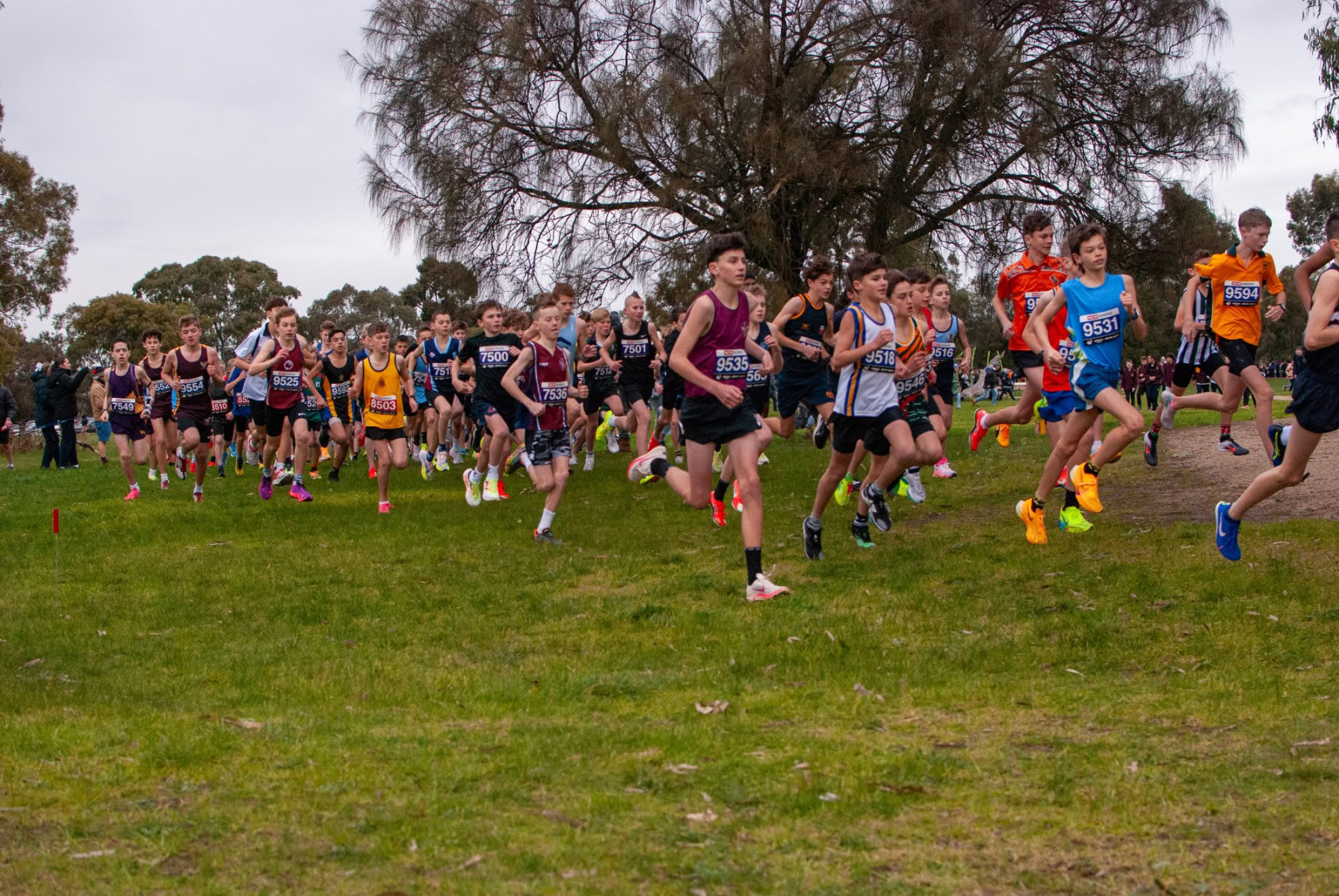 Victorian-Cross-Country-Championships-2024_0003
