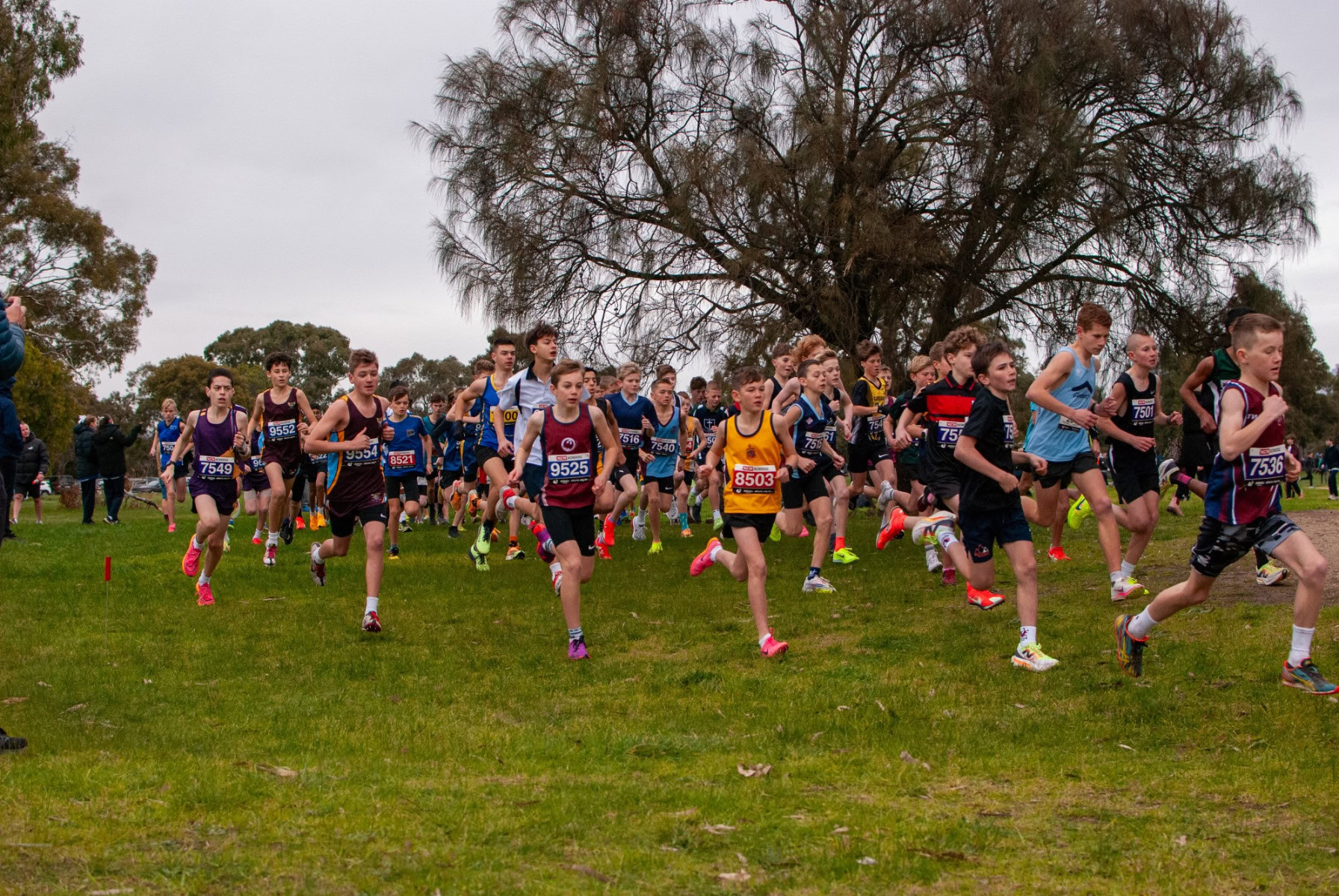 Victorian-Cross-Country-Championships-2024_0004