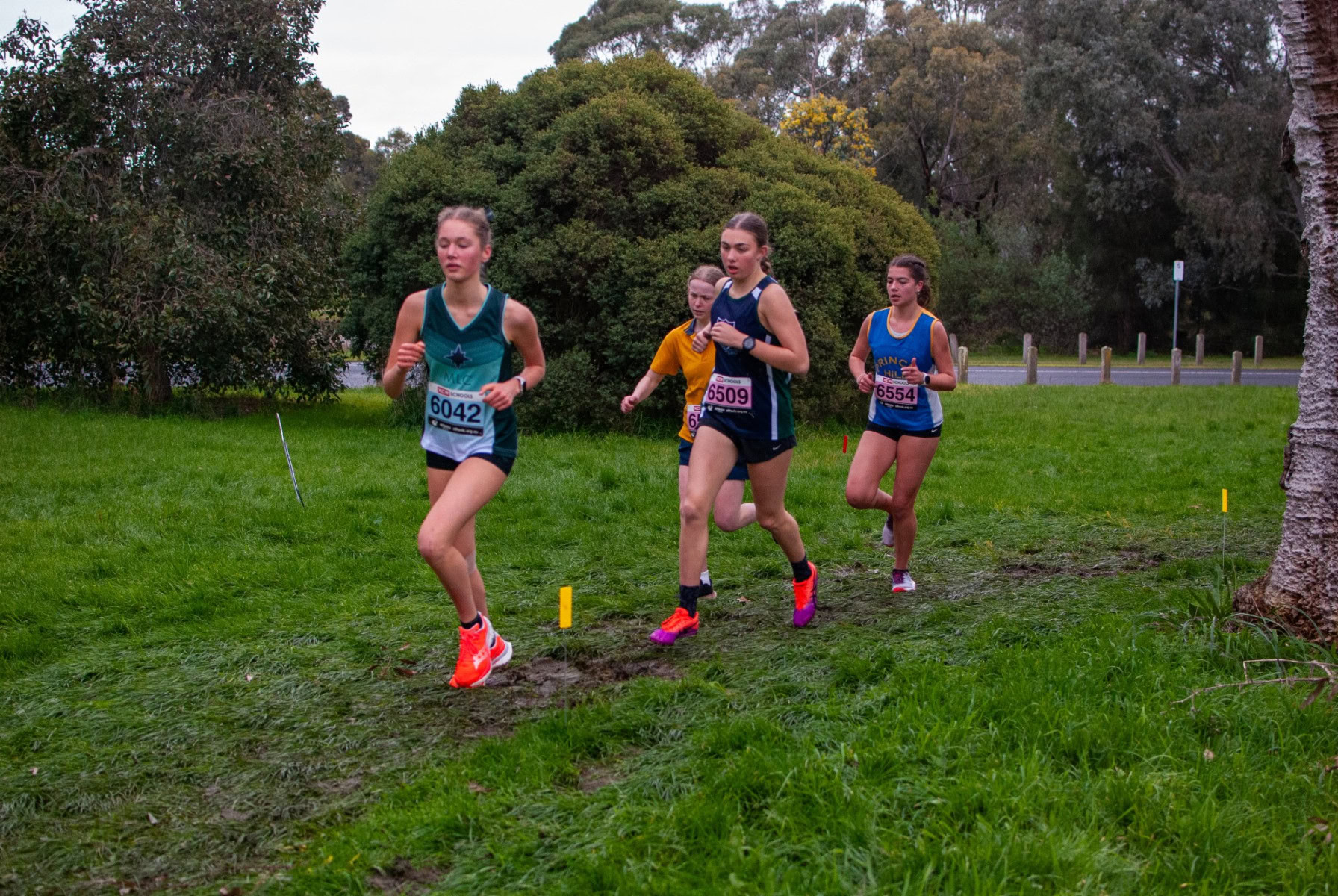 Victorian-Cross-Country-Championships-2024_0311