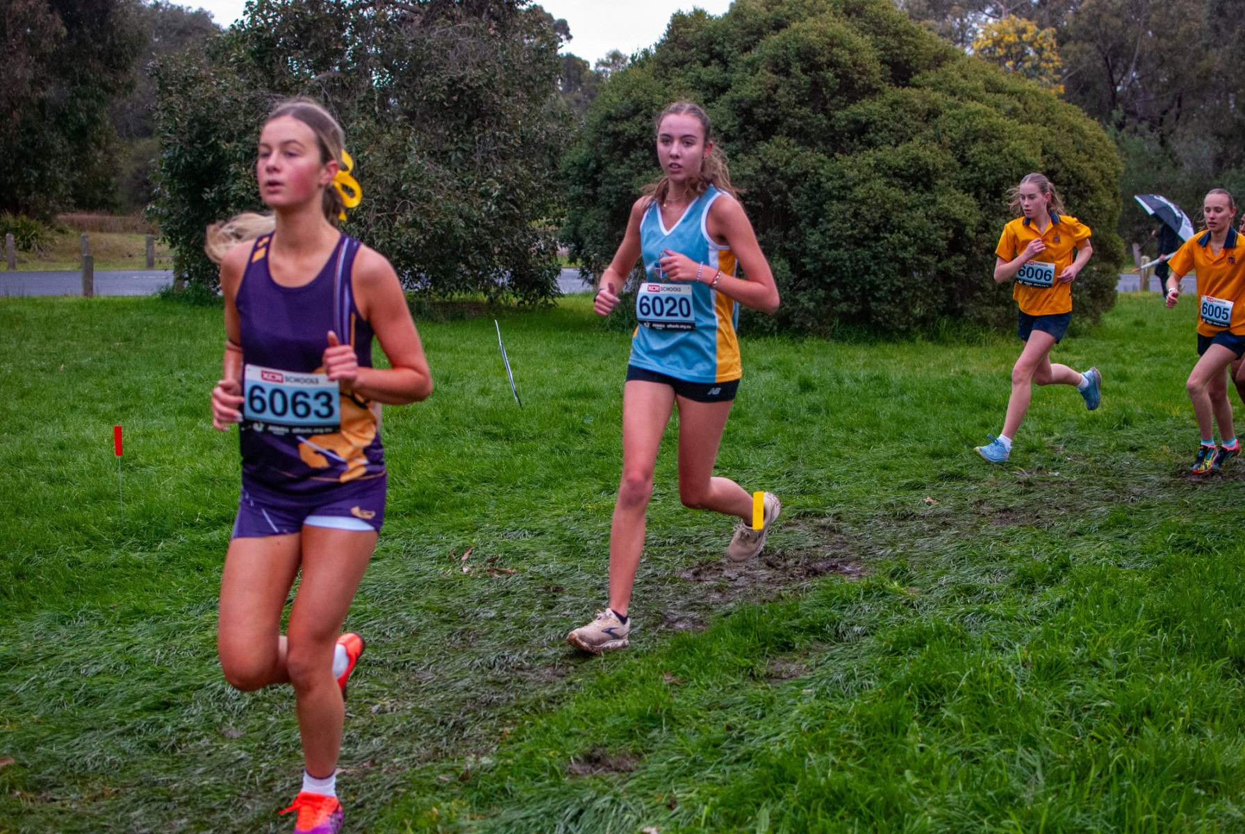 Victorian-Cross-Country-Championships-2024_0337
