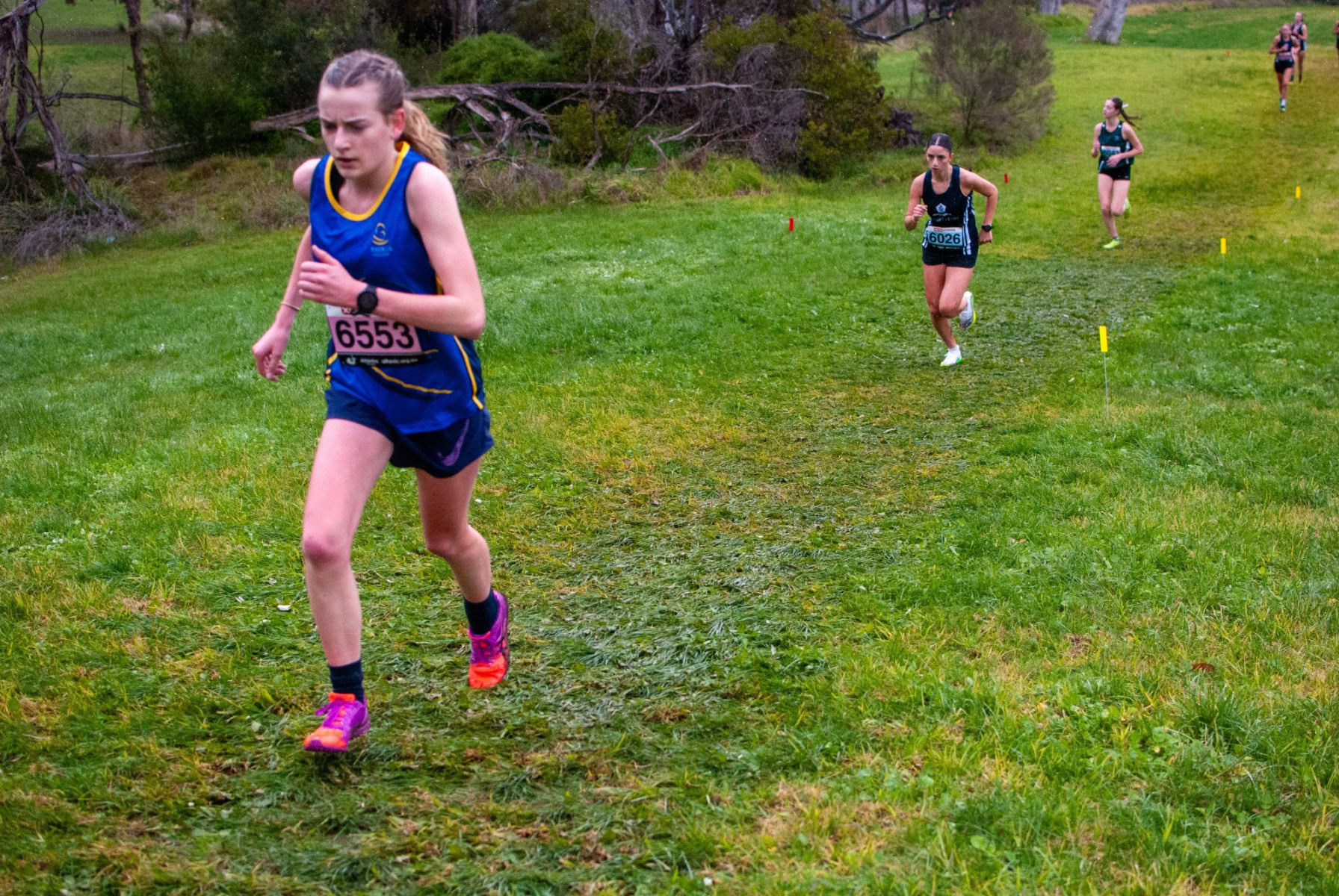 Victorian-Cross-Country-Championships-2024_0379