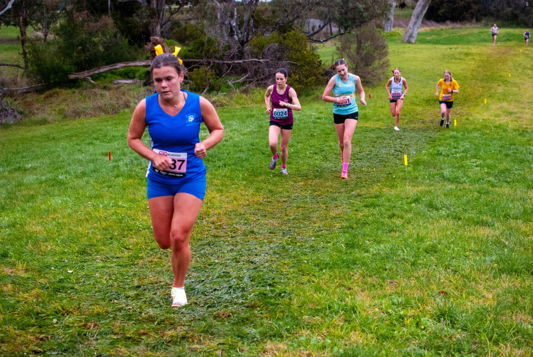 Victorian-Cross-Country-Championships-2024_0389