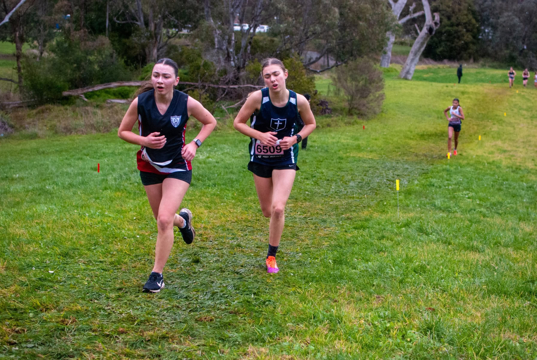 Victorian-Cross-Country-Championships-2024_0411