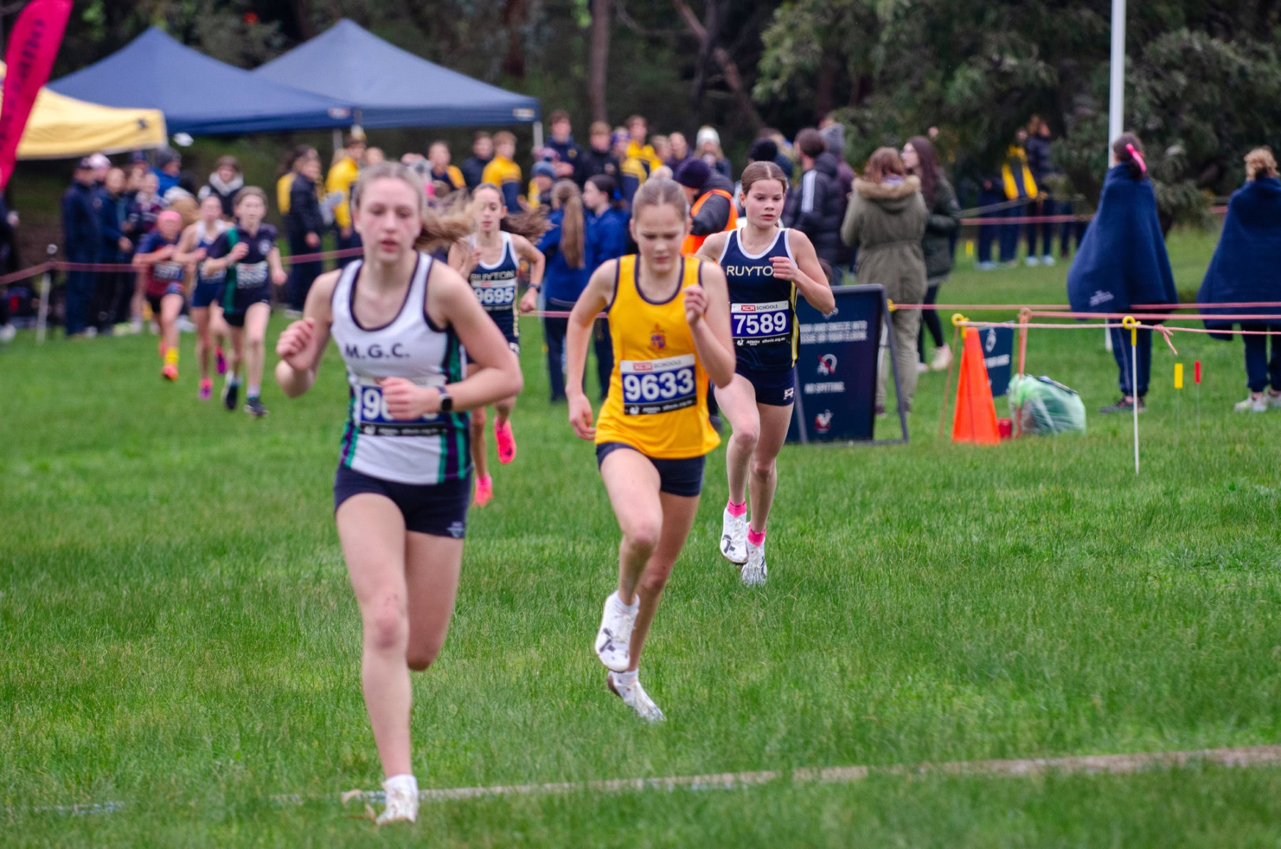 Victorian-Cross-Country-Championships-2024_8738
