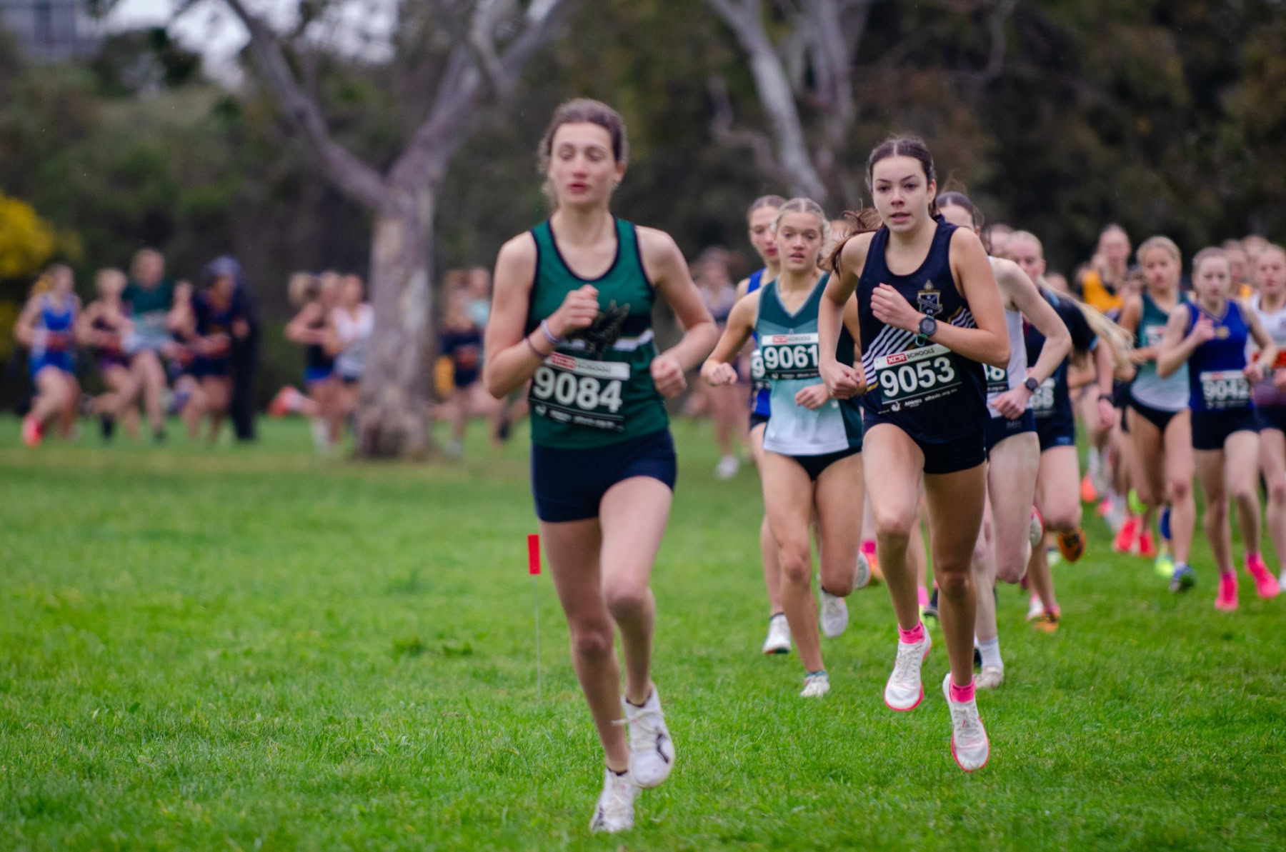 Victorian-Cross-Country-Championships-2024_8890