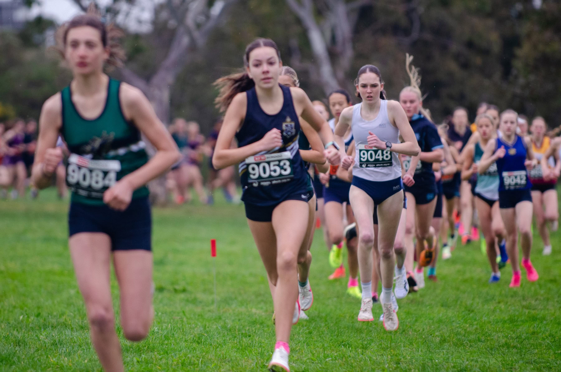 Victorian-Cross-Country-Championships-2024_8892