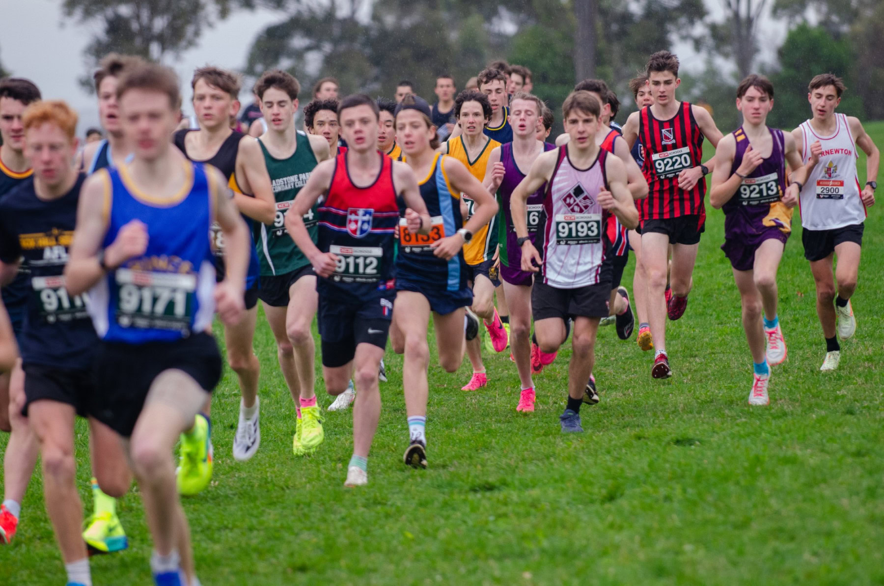 Victorian-Cross-Country-Championships-2024_9074