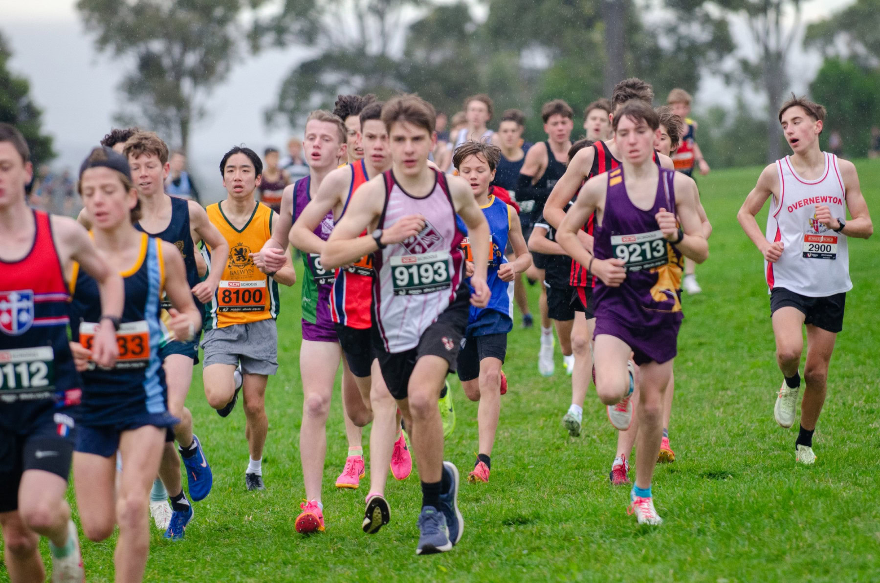 Victorian-Cross-Country-Championships-2024_9076