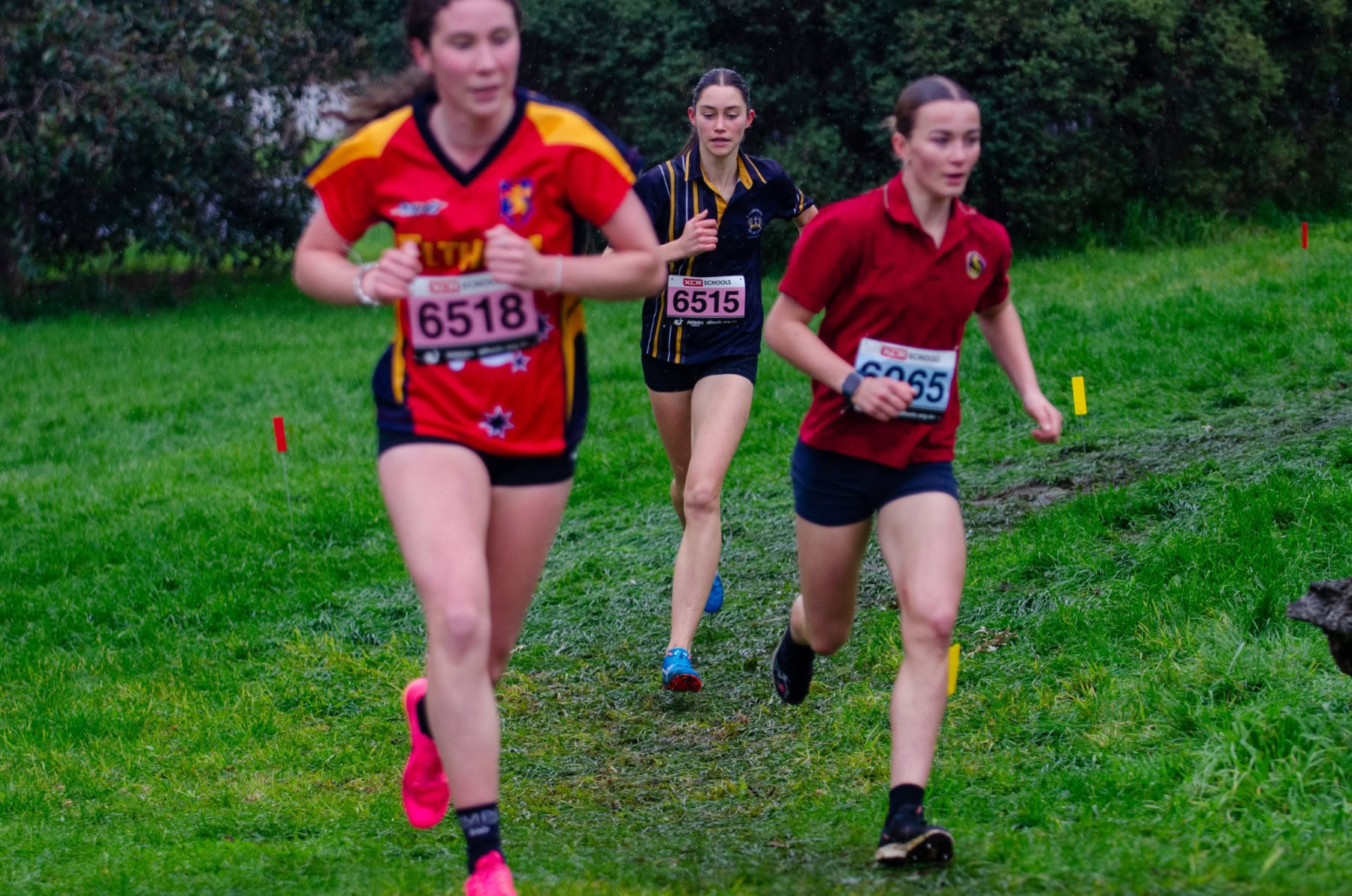 Victorian-Cross-Country-Championships-2024_9209