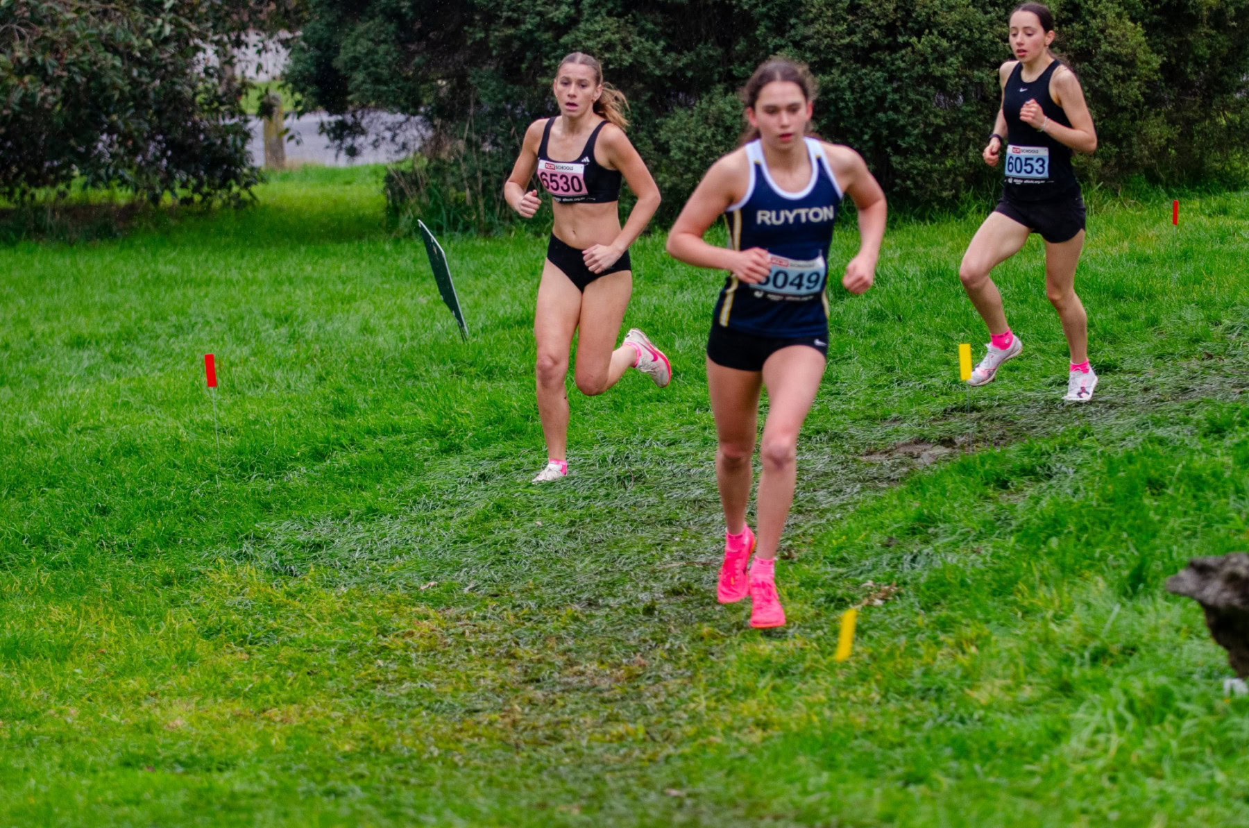 Victorian-Cross-Country-Championships-2024_9210