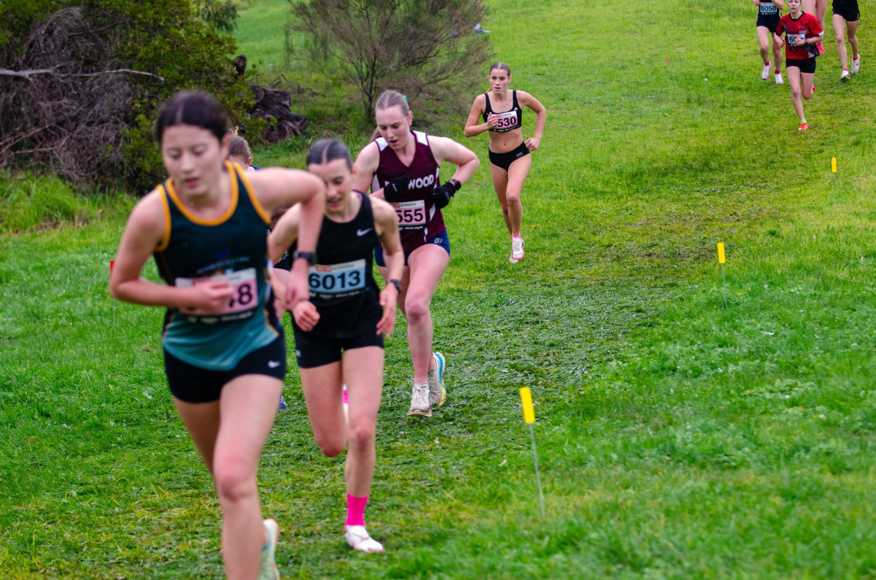 Victorian-Cross-Country-Championships-2024_9276