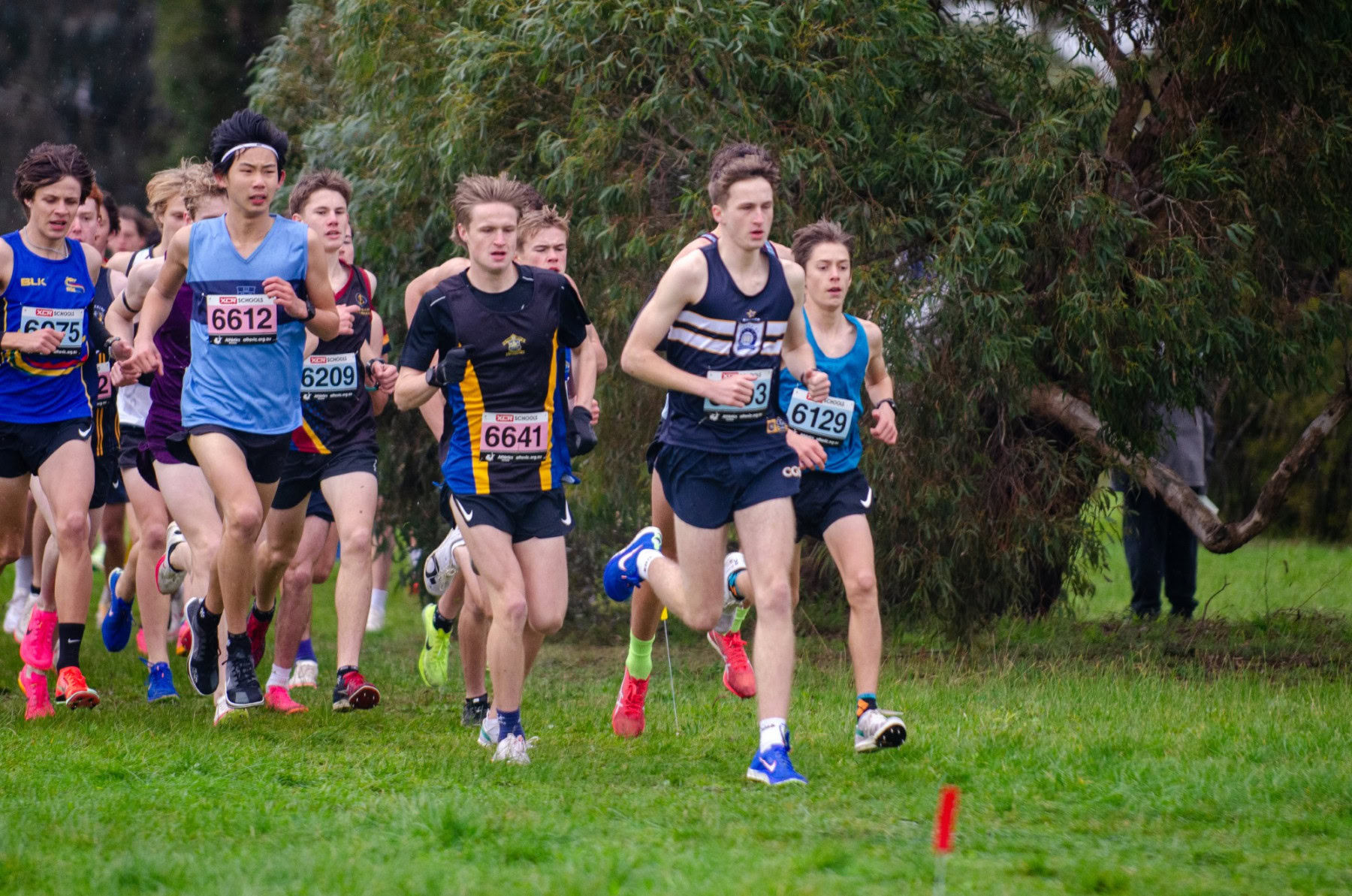 Victorian-Cross-Country-Championships-2024_9302