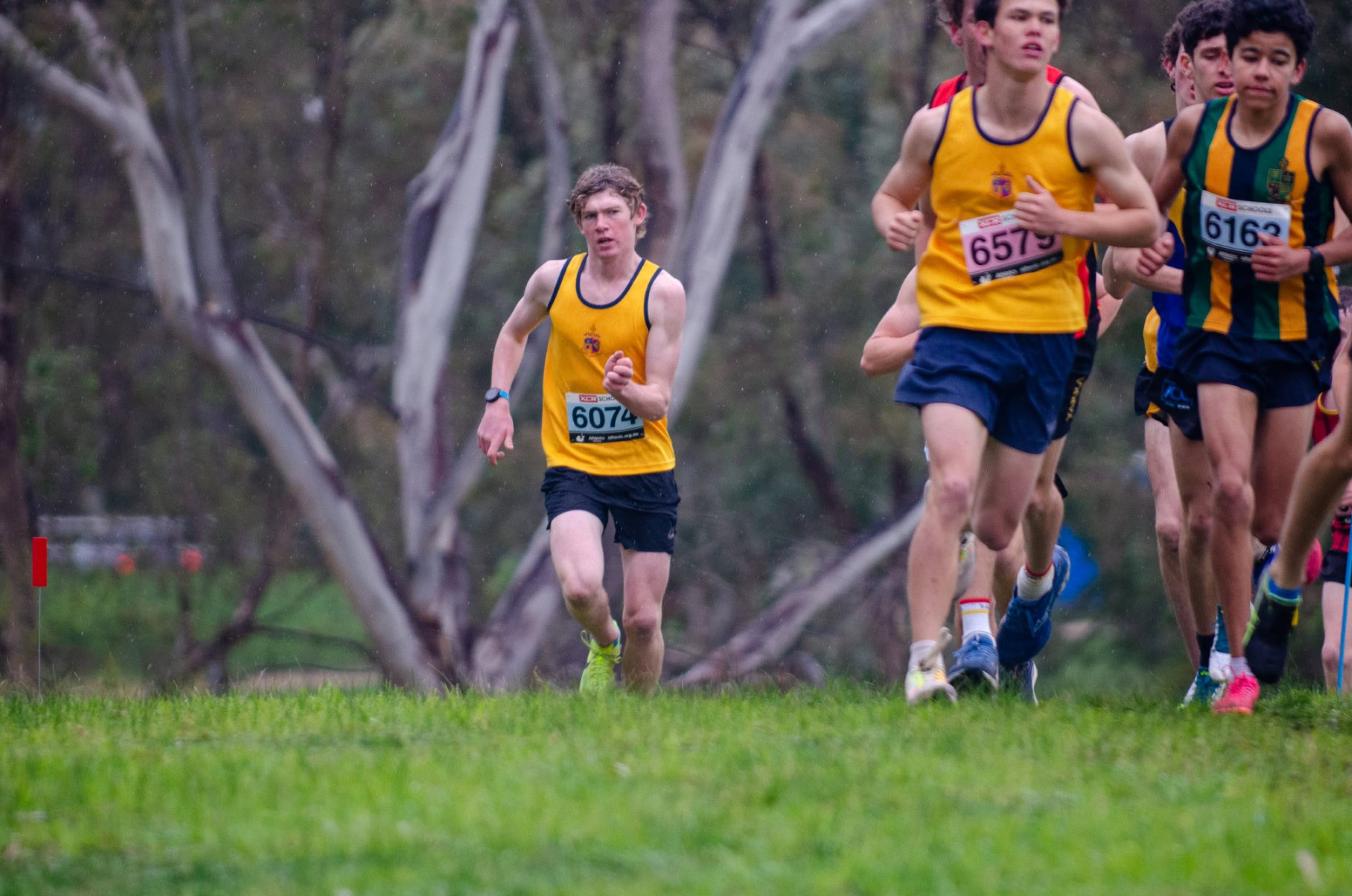 Victorian-Cross-Country-Championships-2024_9337