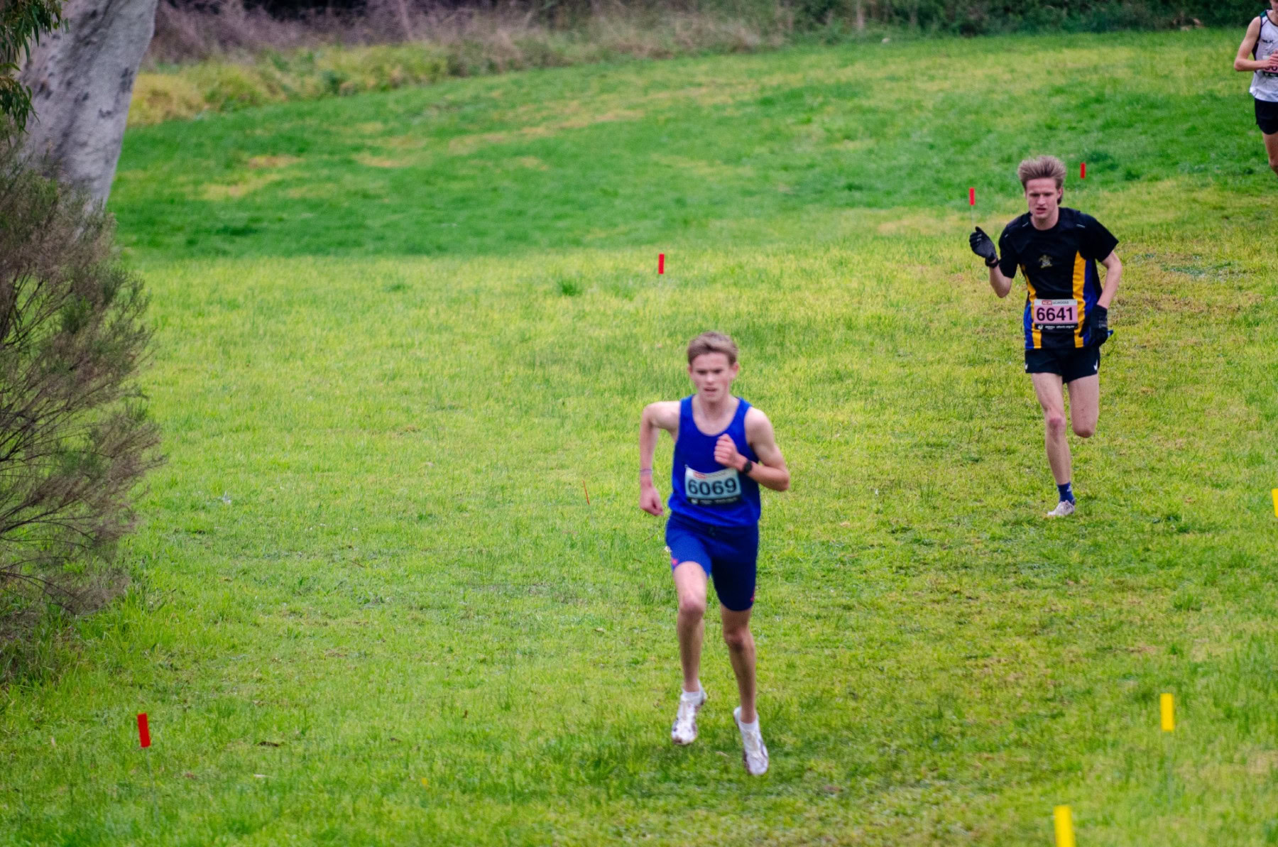 Victorian-Cross-Country-Championships-2024_9374