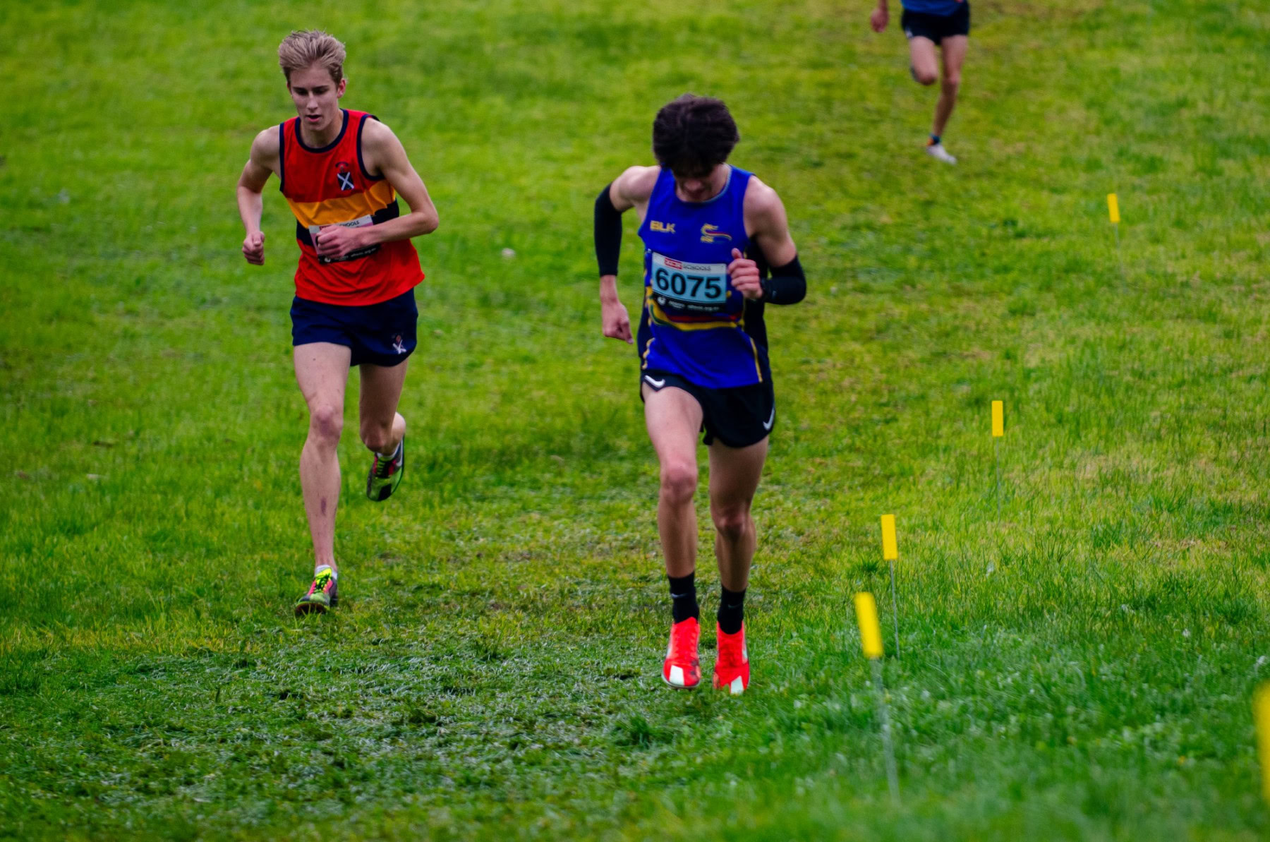 Victorian-Cross-Country-Championships-2024_9389